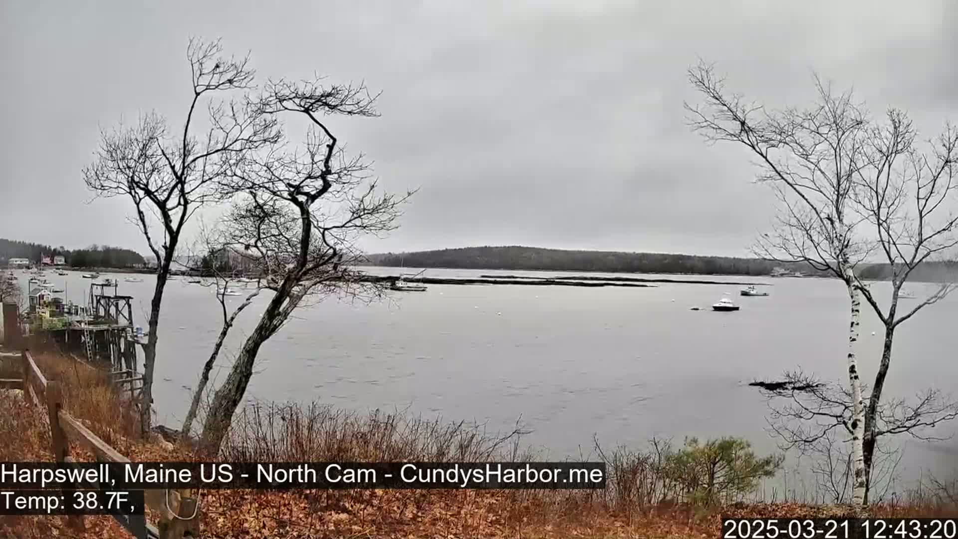 A calm, gray day reveals a view of a harbor with several boats, a distant shoreline, and bare trees in the foreground.