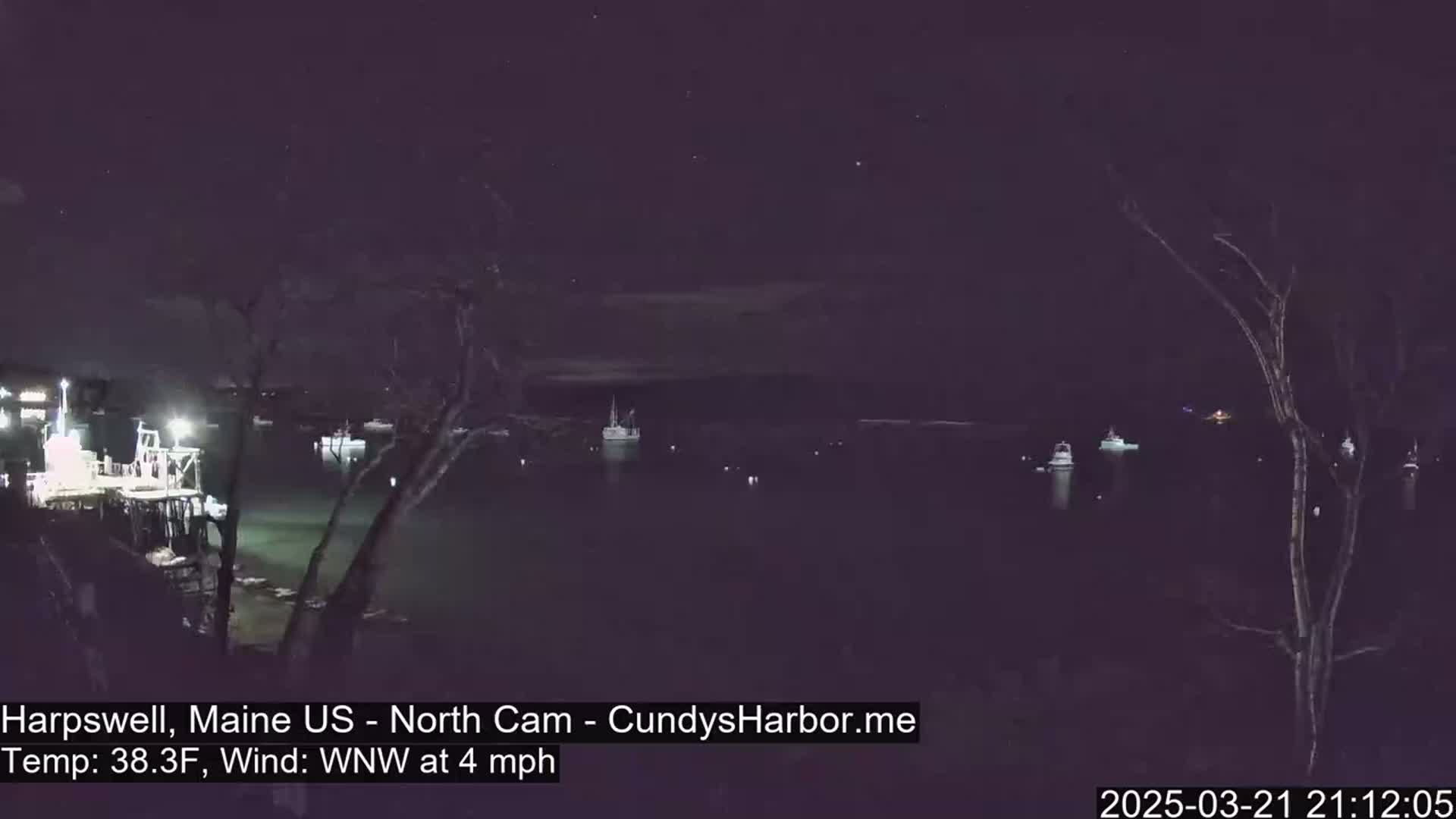 A nighttime view of a harbor with several boats moored, under a clear, starry sky and a light wind.