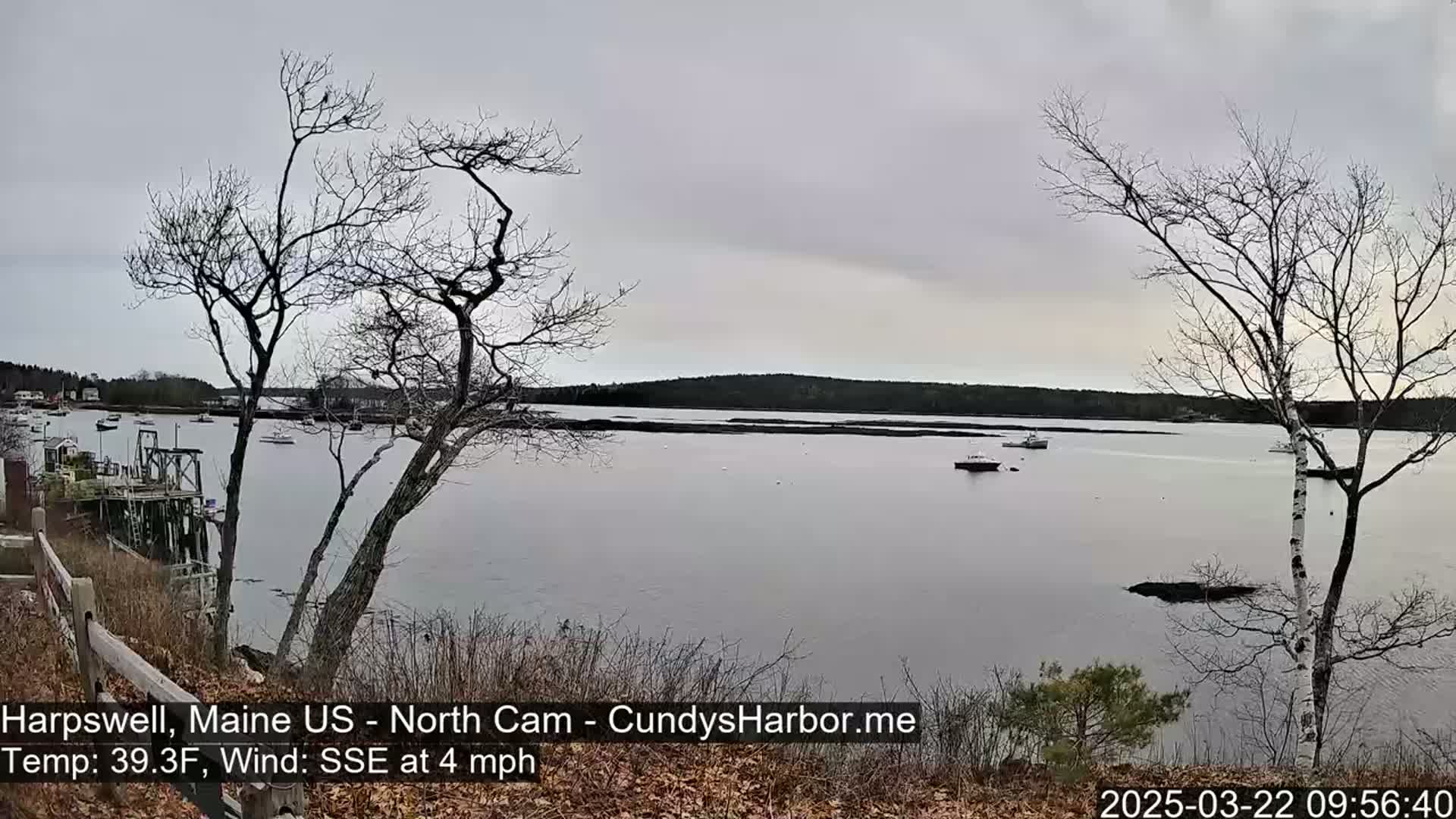 A calm body of water with several boats is seen from a shoreline vantage point under an overcast sky, with bare trees in the foreground.