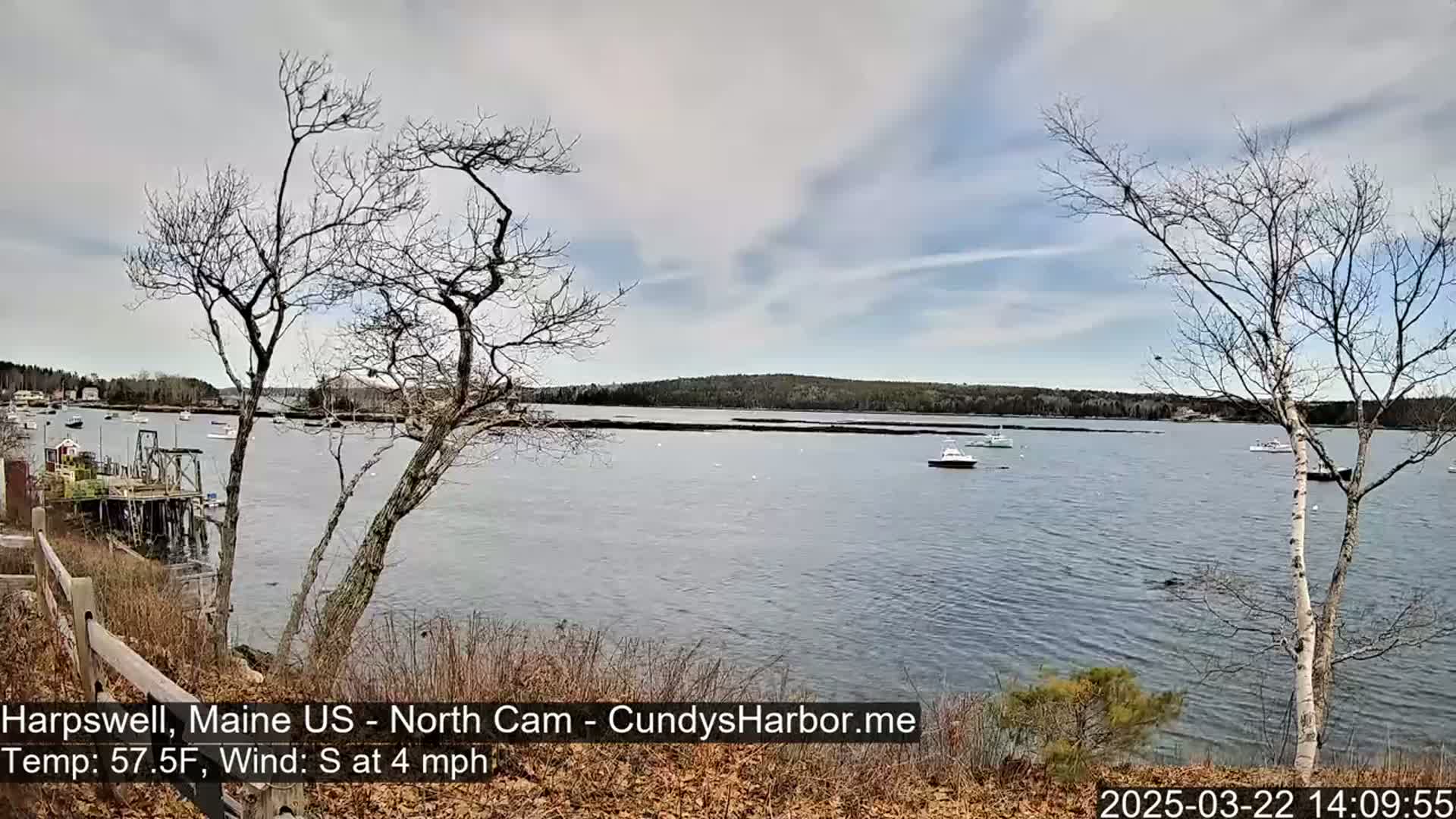 A calm body of water with several boats is viewed from a slightly elevated position, with bare trees in the foreground under a partly cloudy sky.