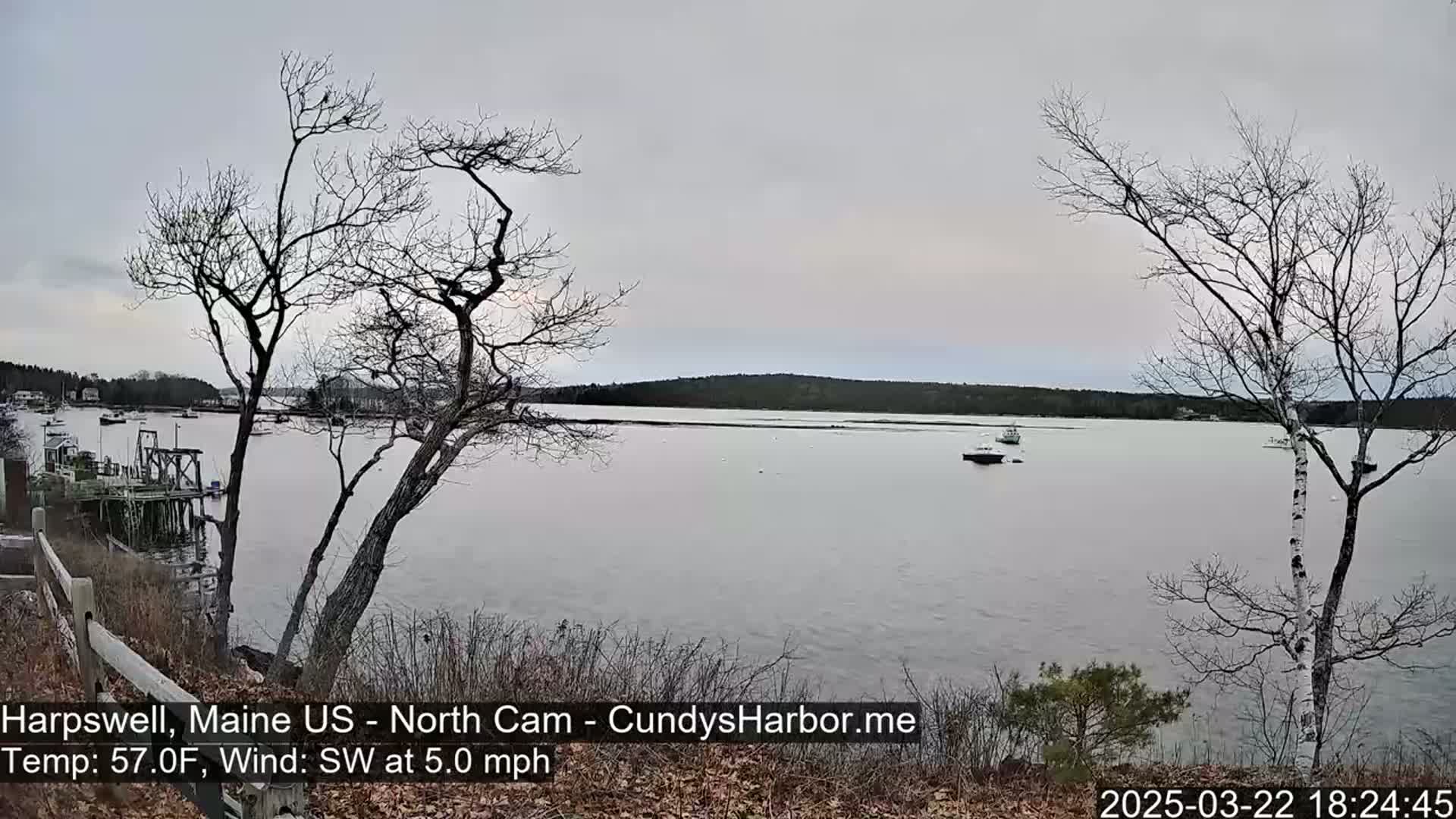 A calm, overcast day reveals a tranquil body of water with several boats, viewed from a shoreline with bare trees and a wooden fence.