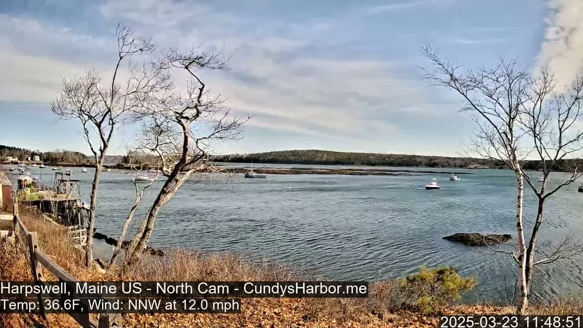 A calm body of water with several boats is viewed from a slightly elevated position on a partly sunny day with bare trees in the foreground.