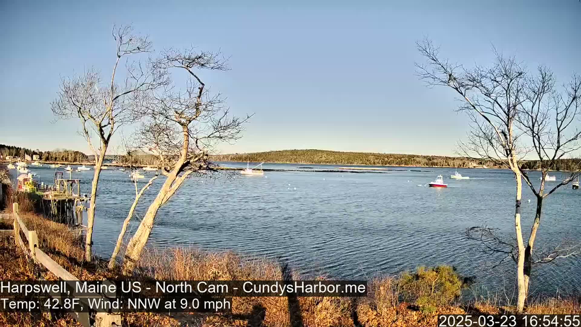 A calm body of water with several boats is viewed from a shoreline with bare trees under a clear blue sky.