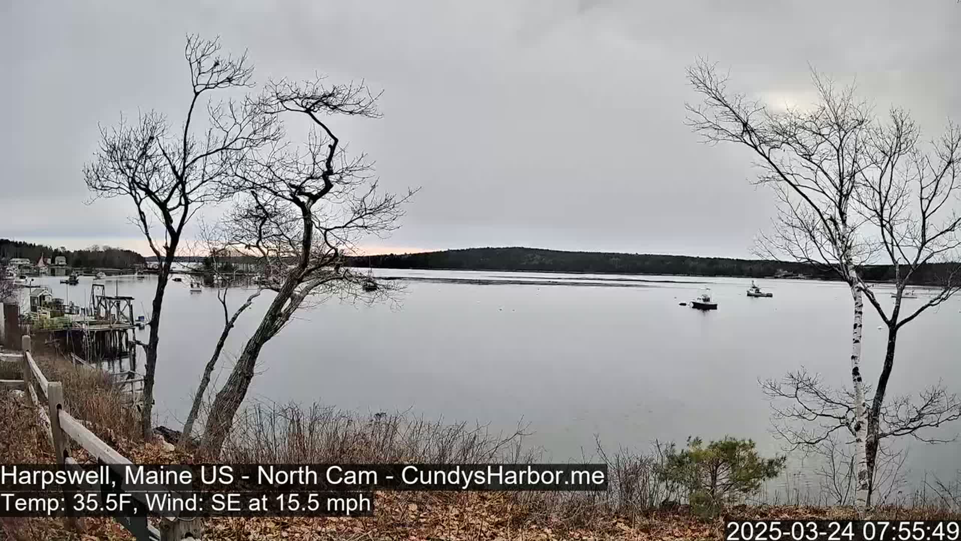 A calm, gray day shows a harbor with several boats, viewed from a shoreline with bare trees and a wooden fence.