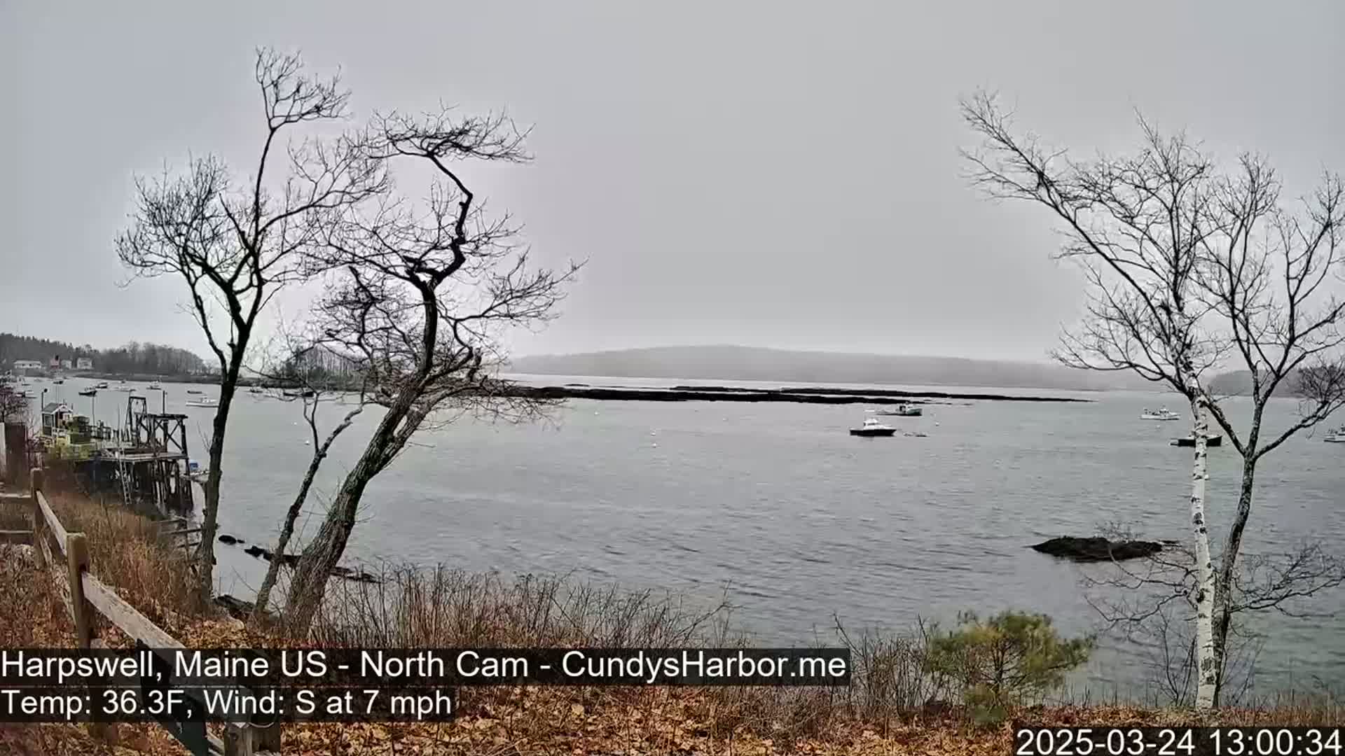 A calm body of water with several boats is seen from a coastal overlook on an overcast day.