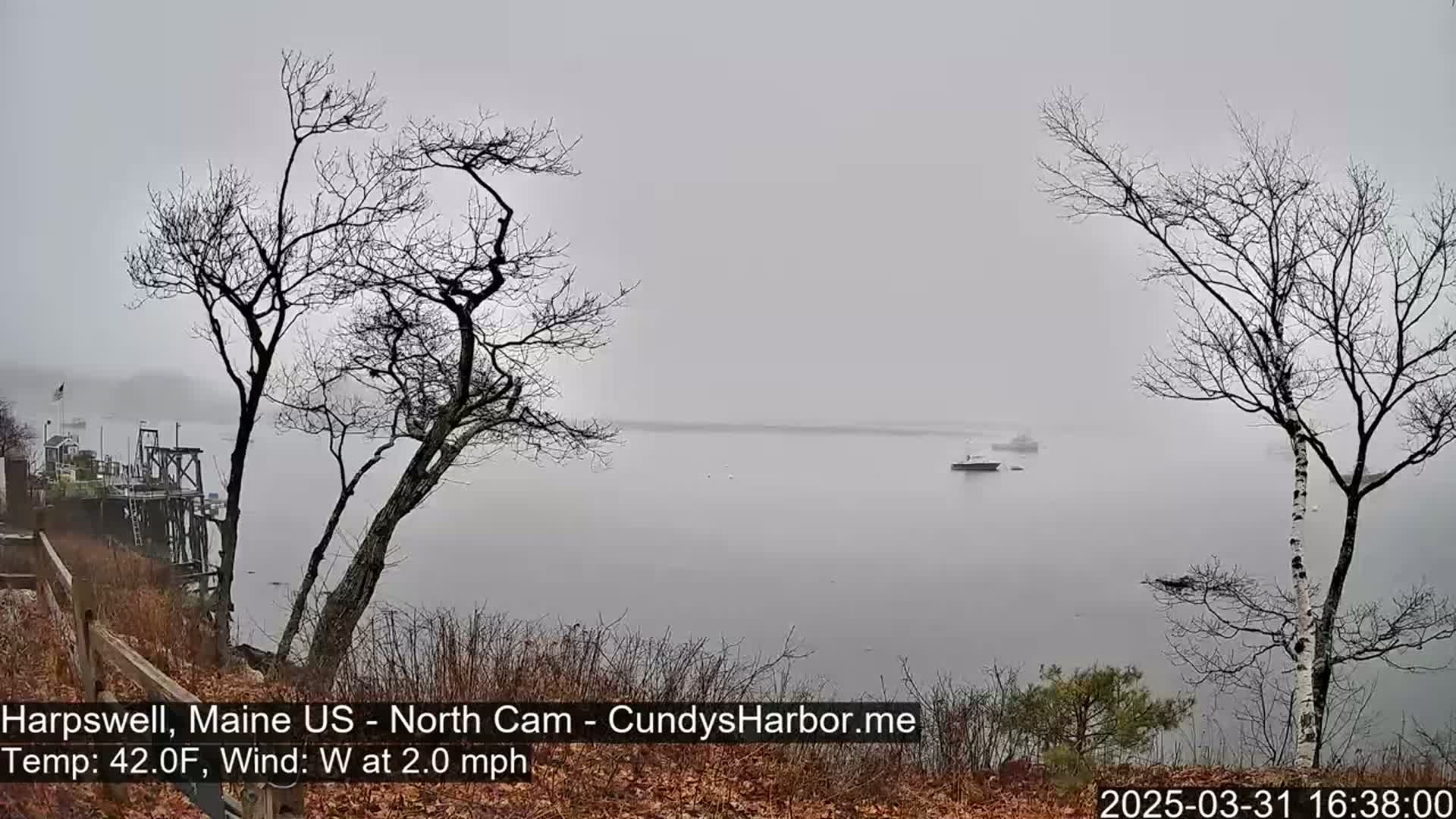 A foggy, calm waterfront scene is viewed from a high vantage point, showing bare trees, a body of water with a few boats, and a distant shoreline.