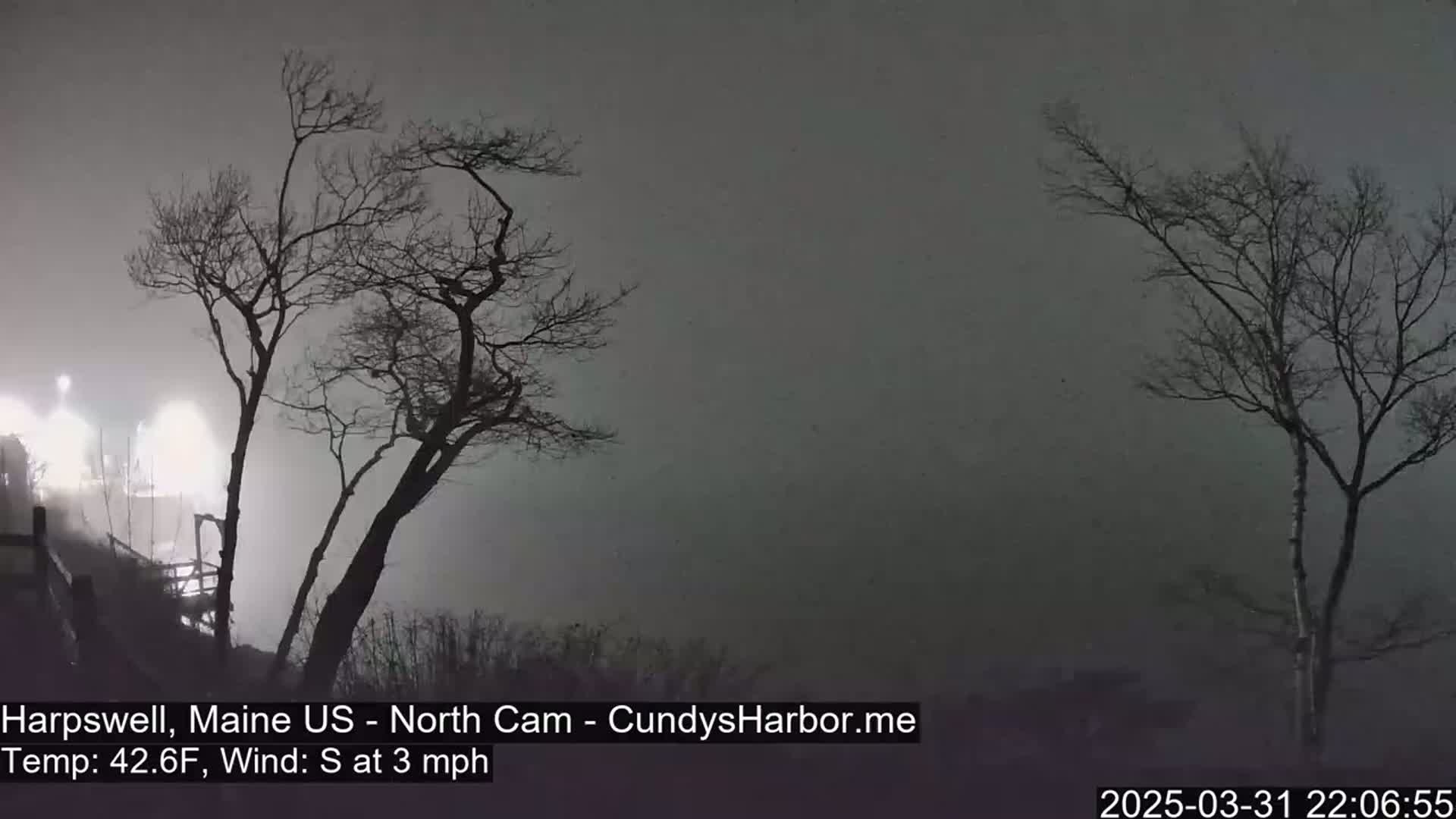 Two bare trees stand silhouetted against a foggy, dark nighttime sky with a faint light source in the distance.