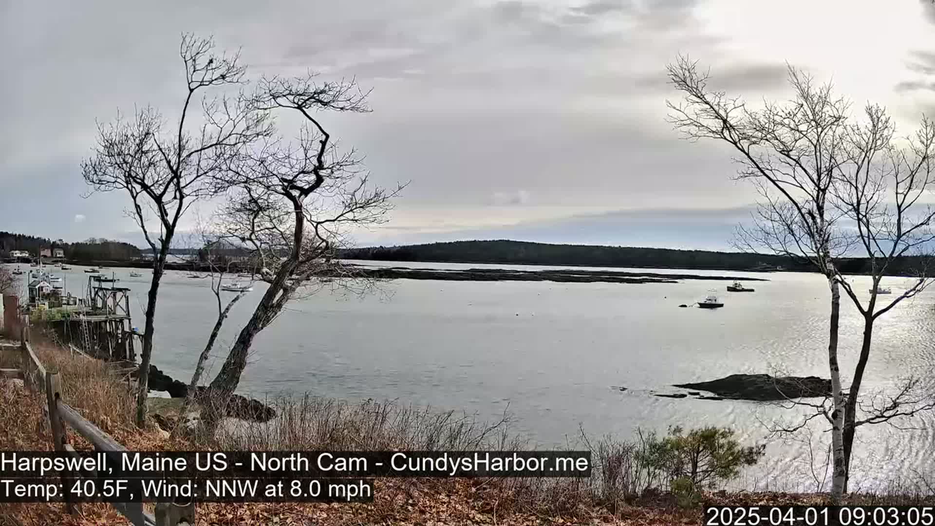 A calm, gray day shows a view of a bay with several small boats, a distant shoreline, and leafless trees in the foreground.