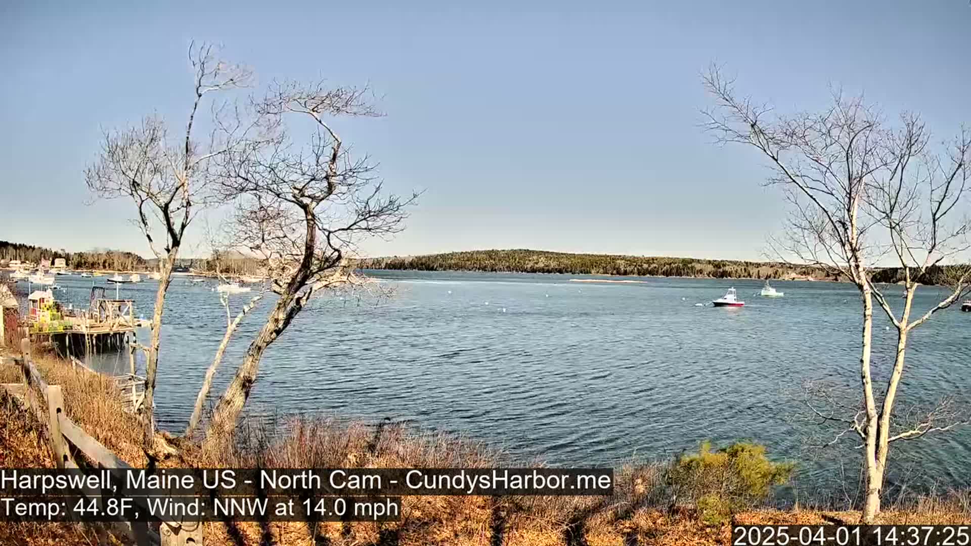 A calm body of water with several boats, viewed from a shoreline with bare trees and a clear blue sky, under a light breeze.