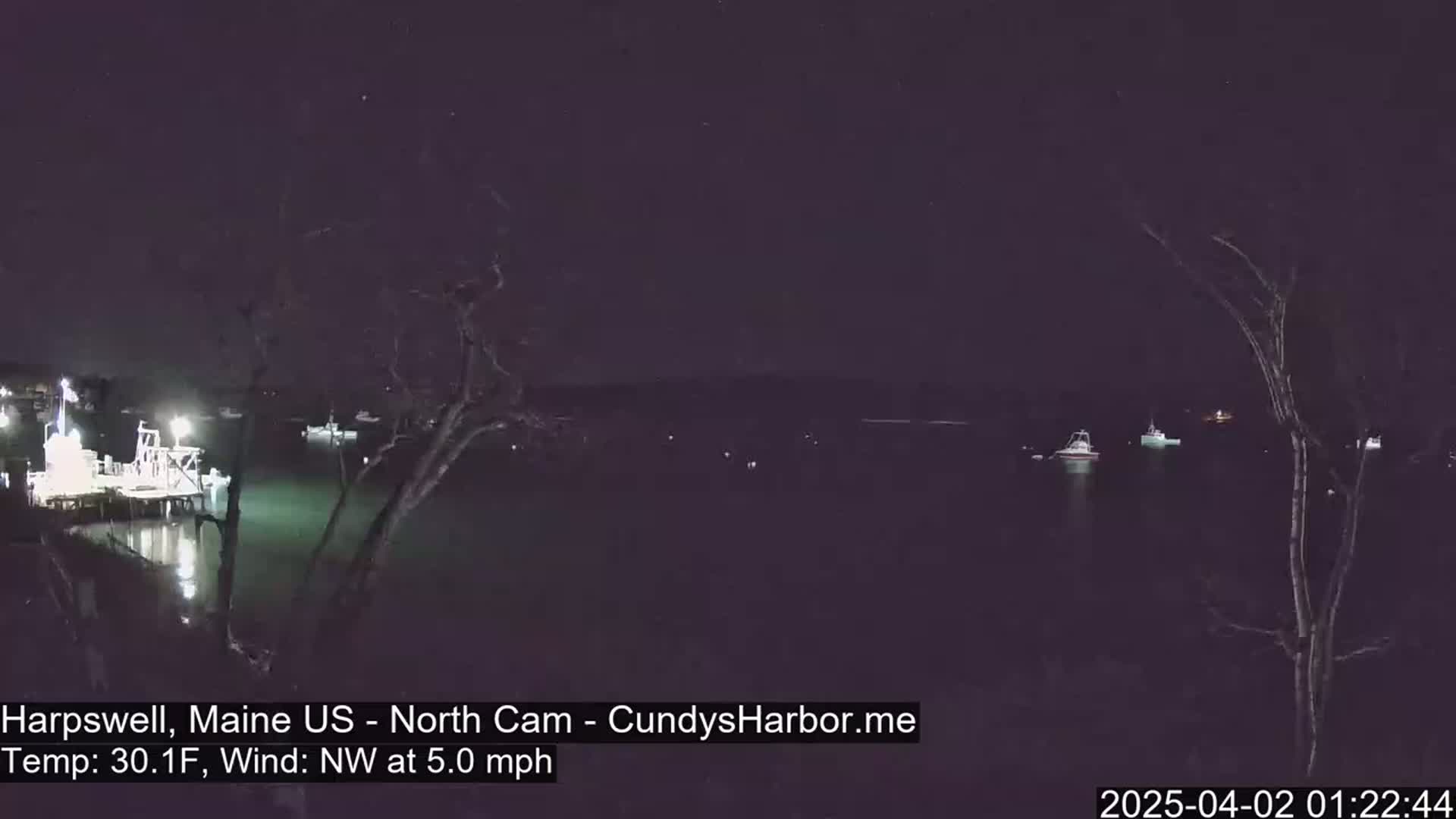 Several boats are moored in a dark, calm harbor at night under a clear sky.