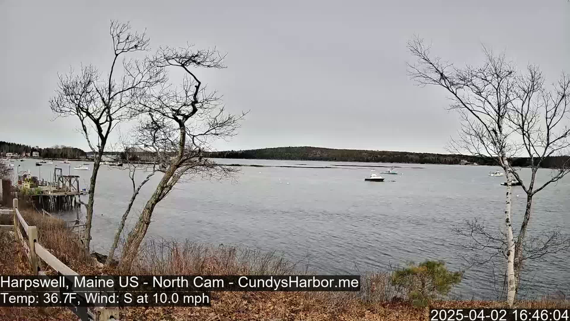 A calm, gray day shows a view of a harbor with several boats, seen from a shoreline with bare trees and early spring vegetation.