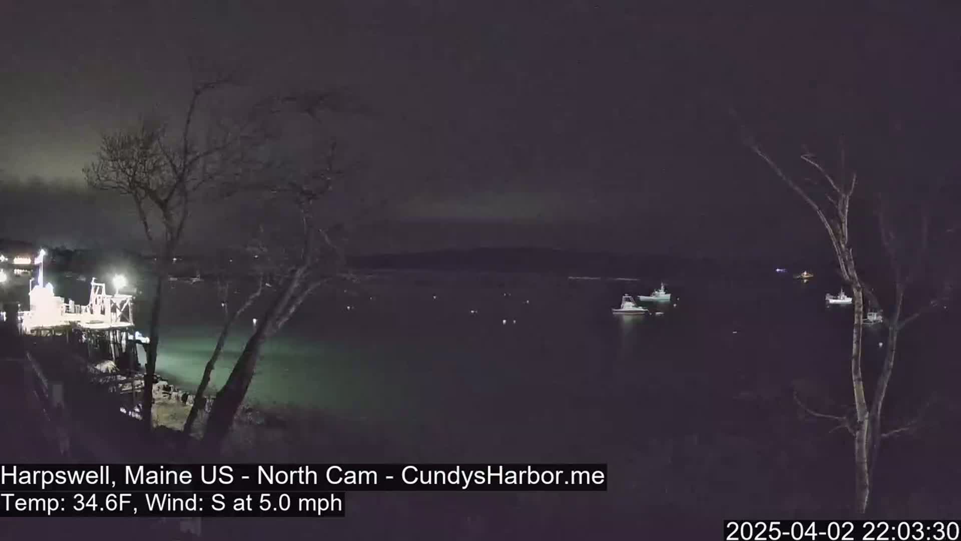 A nighttime view of a dark harbor with several boats, silhouetted trees, and a structure with lights on the left, under a mostly clear, dark sky.
