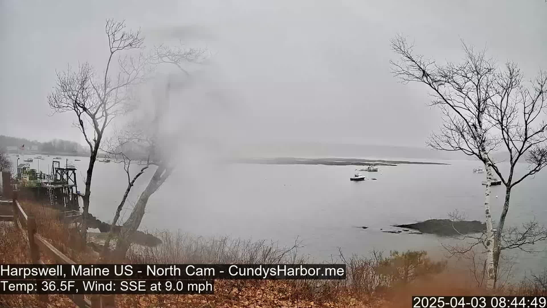 A foggy, overcast scene shows a calm body of water with several small boats, viewed from a rocky shoreline with bare trees and shrubs.