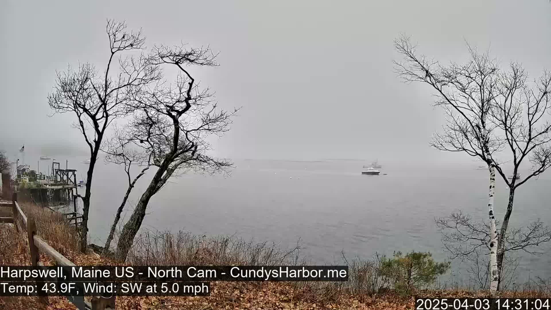 A foggy, gray day reveals a calm body of water with several boats in the distance, viewed from a shoreline with bare trees in the foreground.