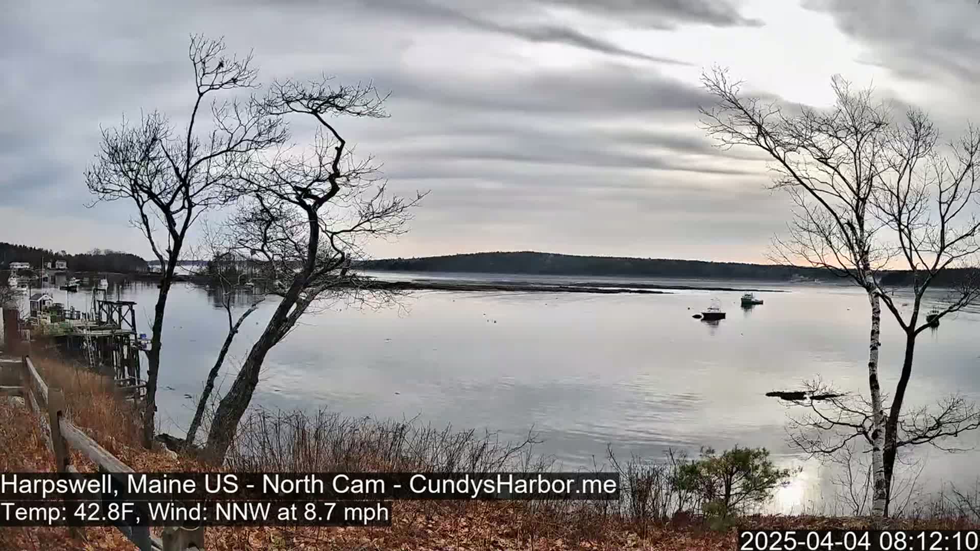 A calm, gray-sky day reveals a tranquil bay with a few boats, viewed from a wooded, rocky shoreline.