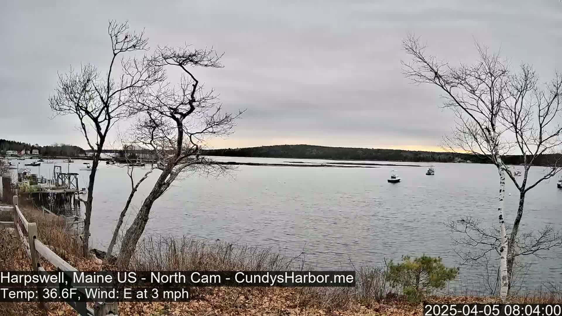A calm body of water with several boats is viewed from a shoreline with bare trees under an overcast sky.