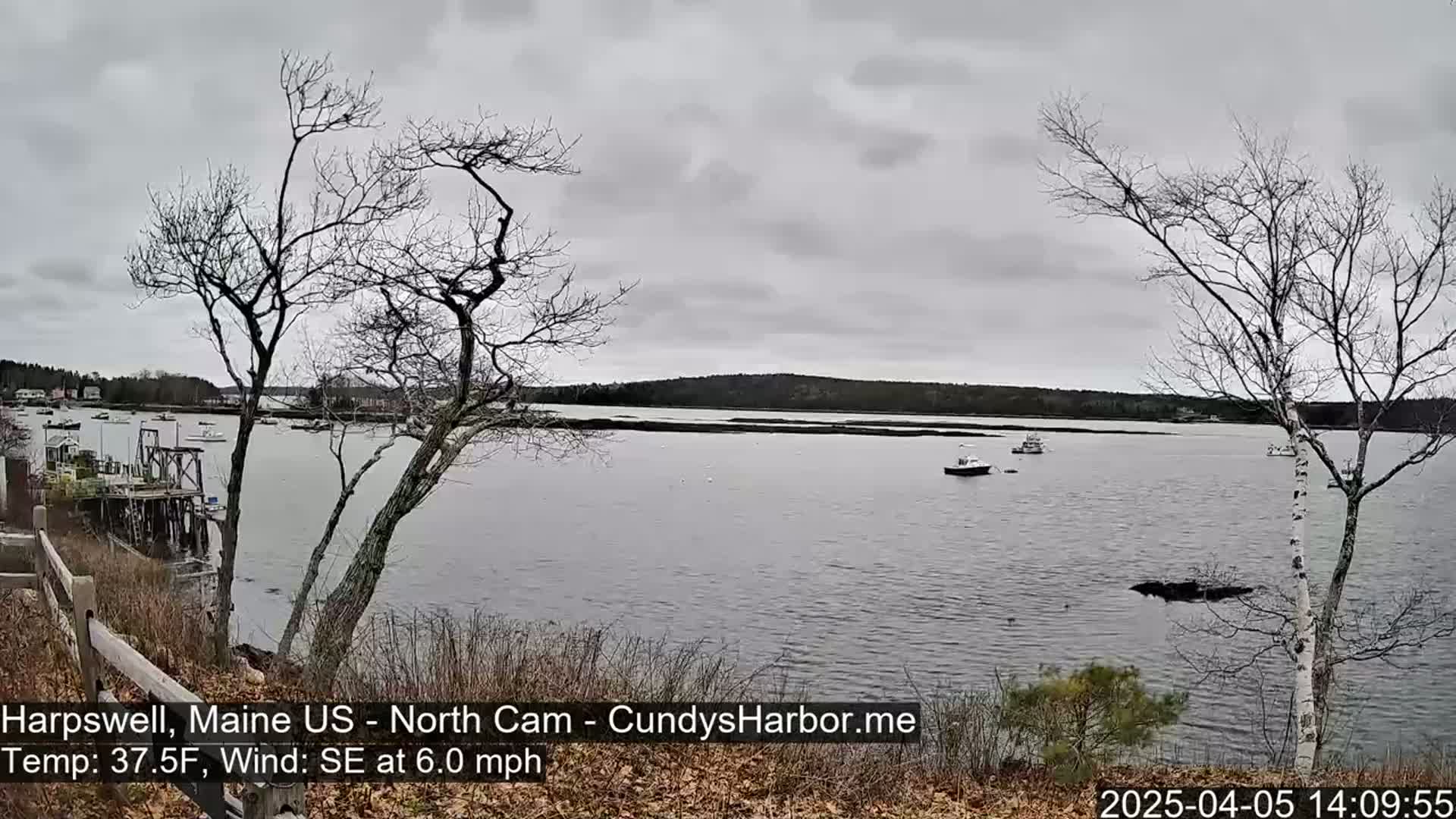 A calm body of water with several boats is seen under an overcast sky, with bare trees in the foreground.