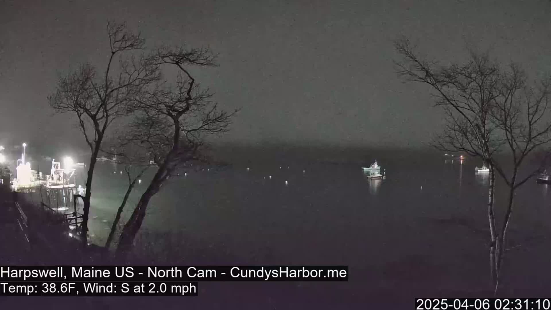 A nighttime view of a dark body of water with several boats, a pier with lights, and bare trees silhouetted against a dark, possibly overcast sky.
