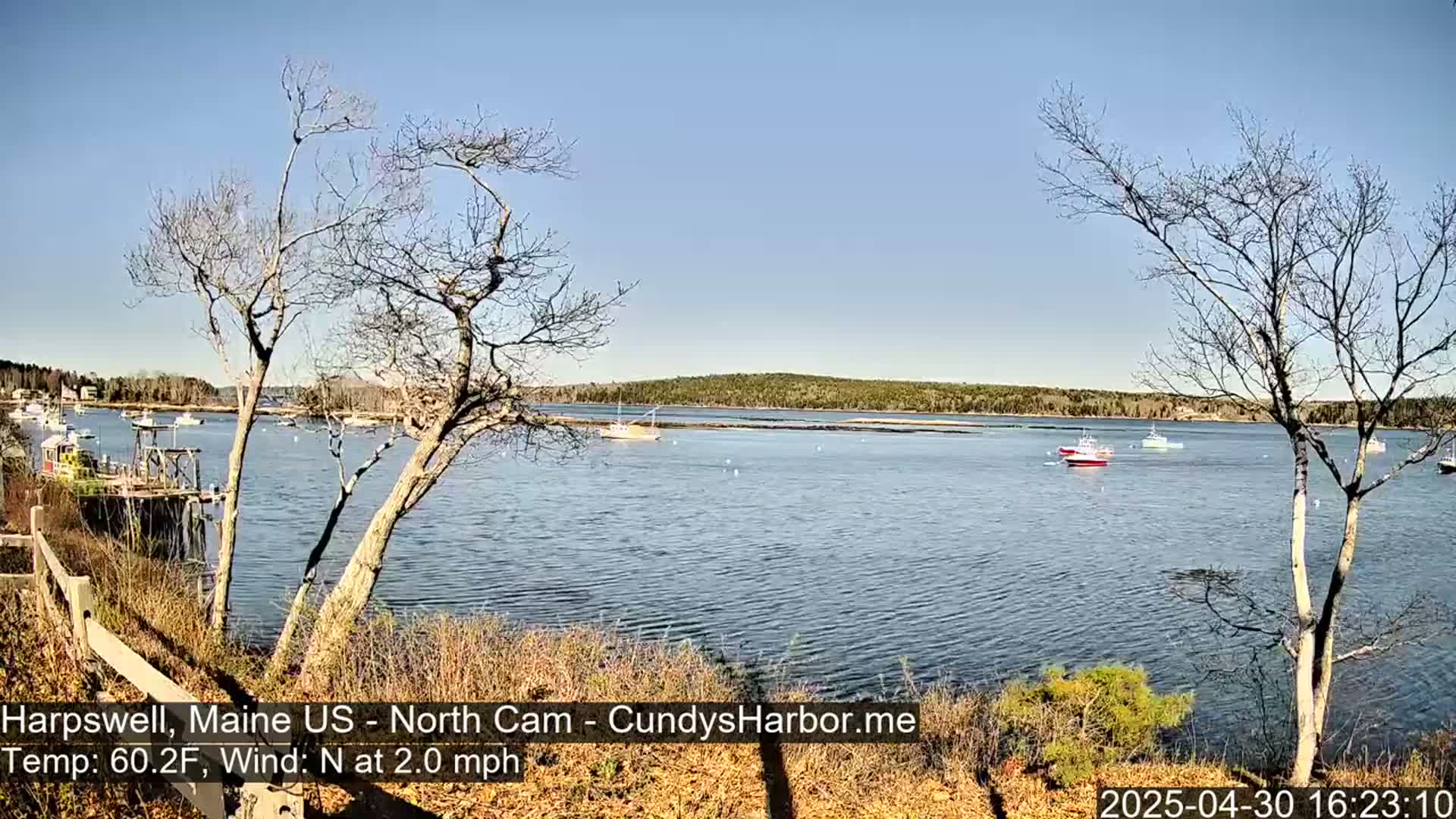 A calm body of water with several boats is viewed from a shoreline with bare trees and a wooden fence, under a clear, sunny sky.