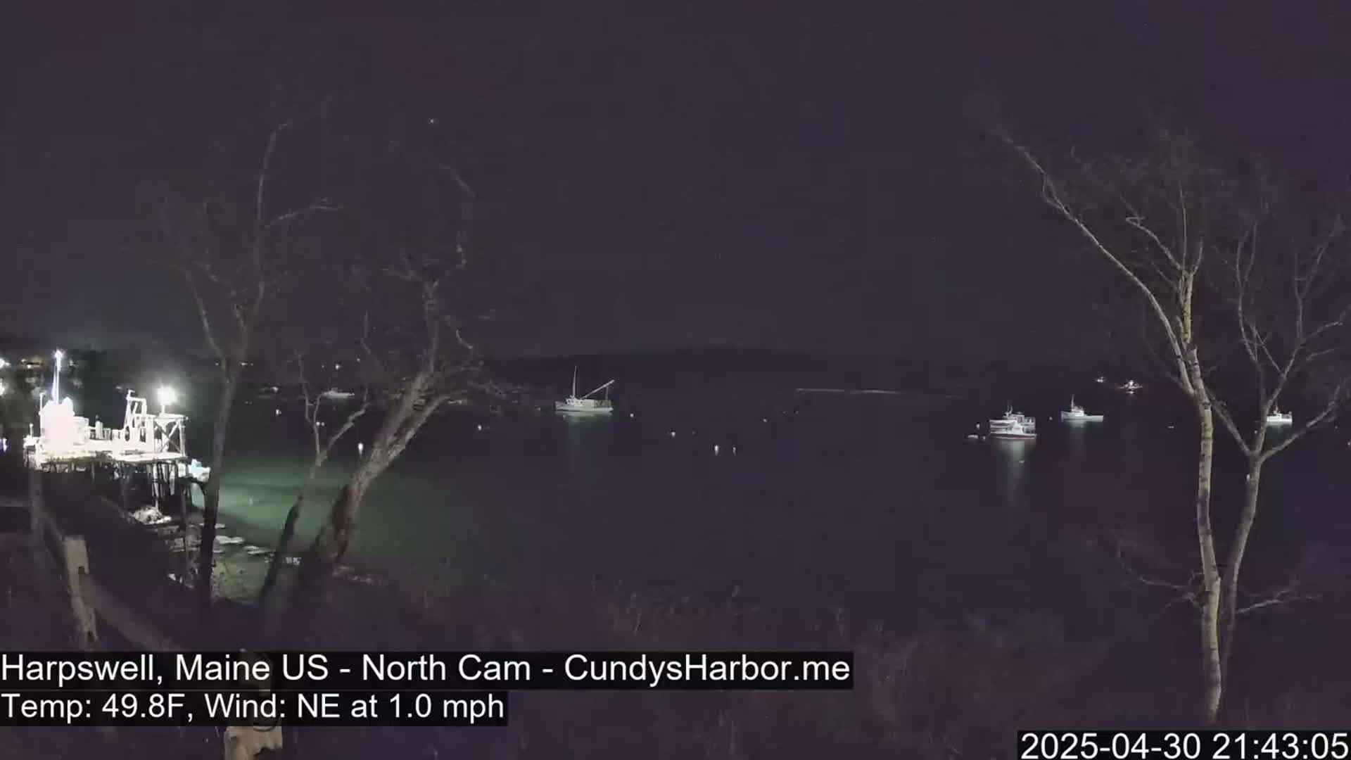 Several boats are moored in a dark, calm body of water at night under a clear sky.
