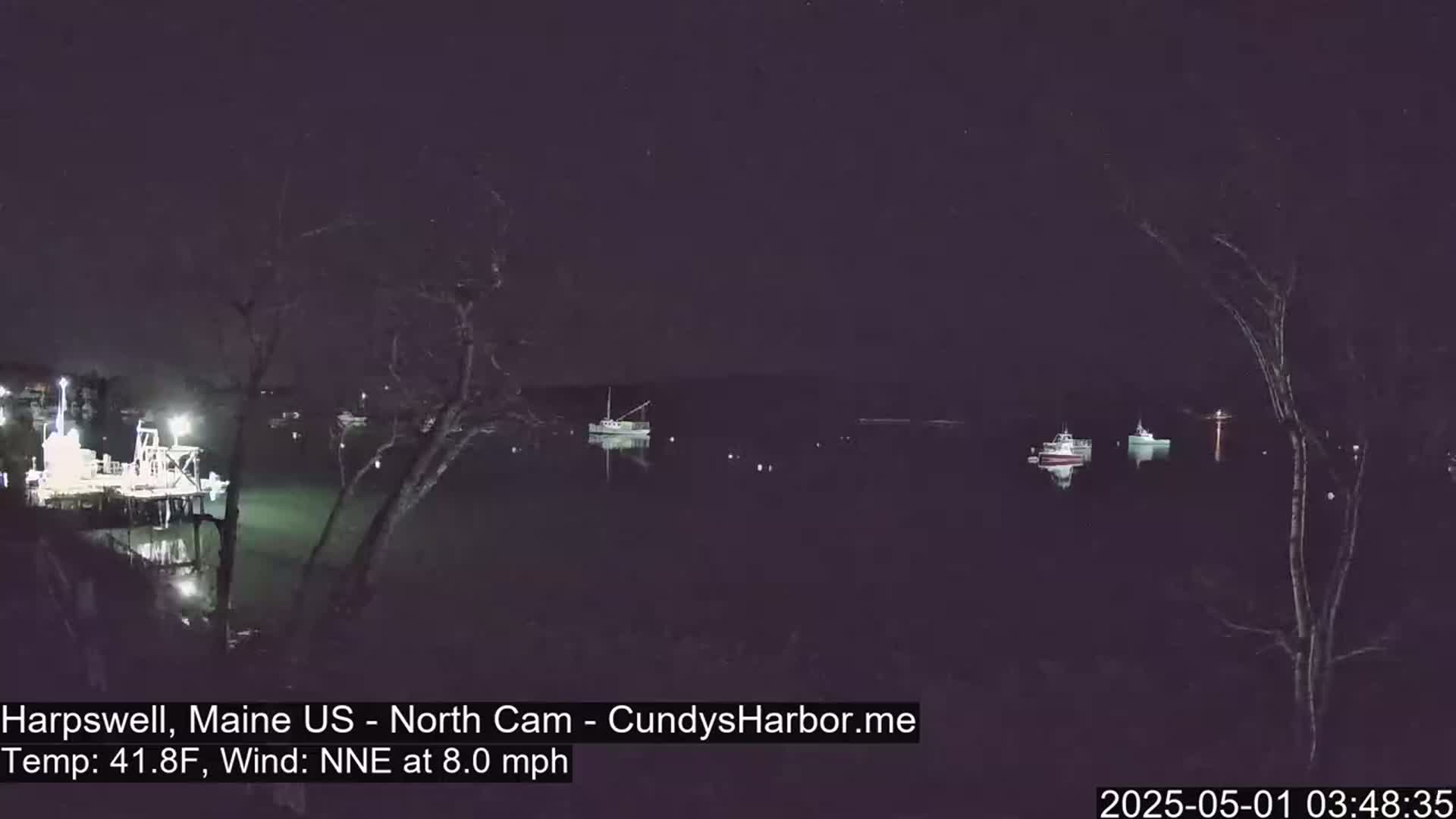 Several boats are moored in a dark, calm harbor at night under a clear sky.