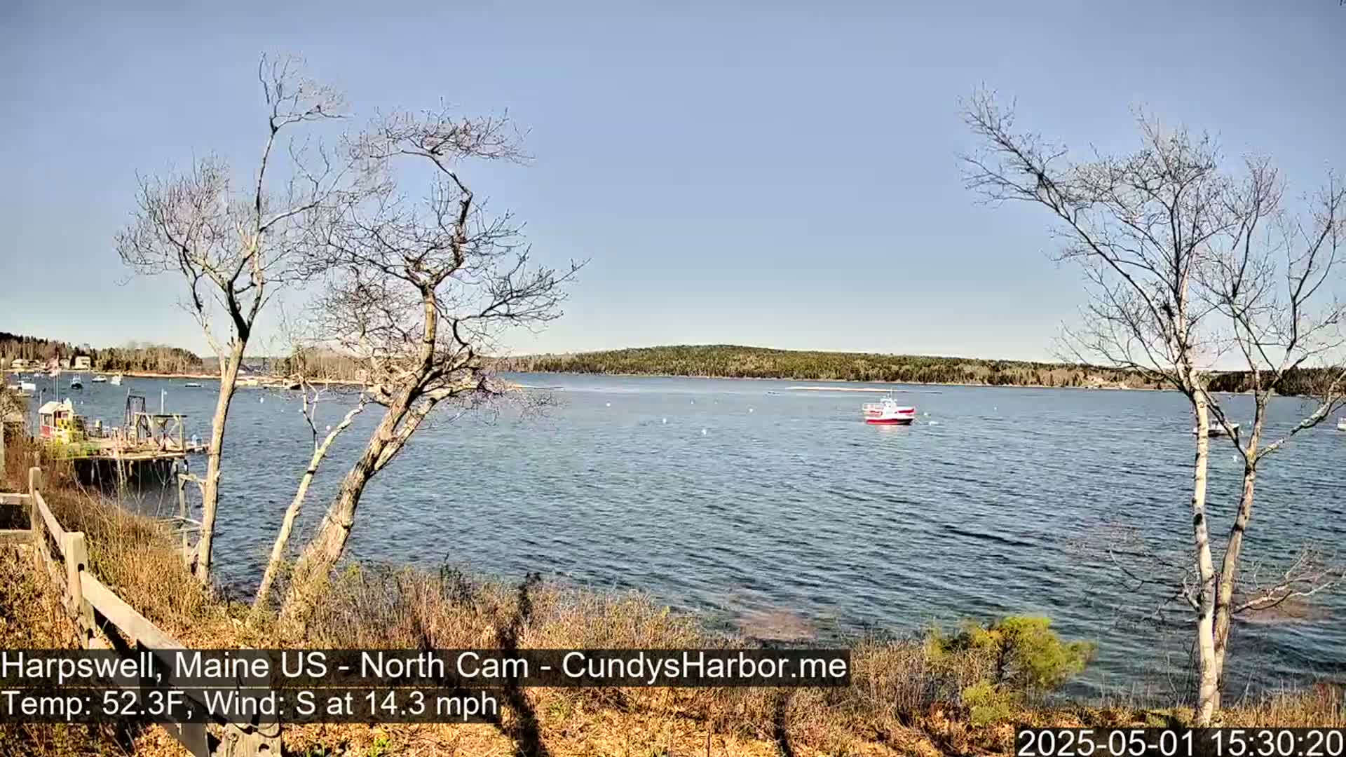 A calm body of water with a few boats is seen from a shoreline with bare trees and budding shrubs under a clear blue sky.