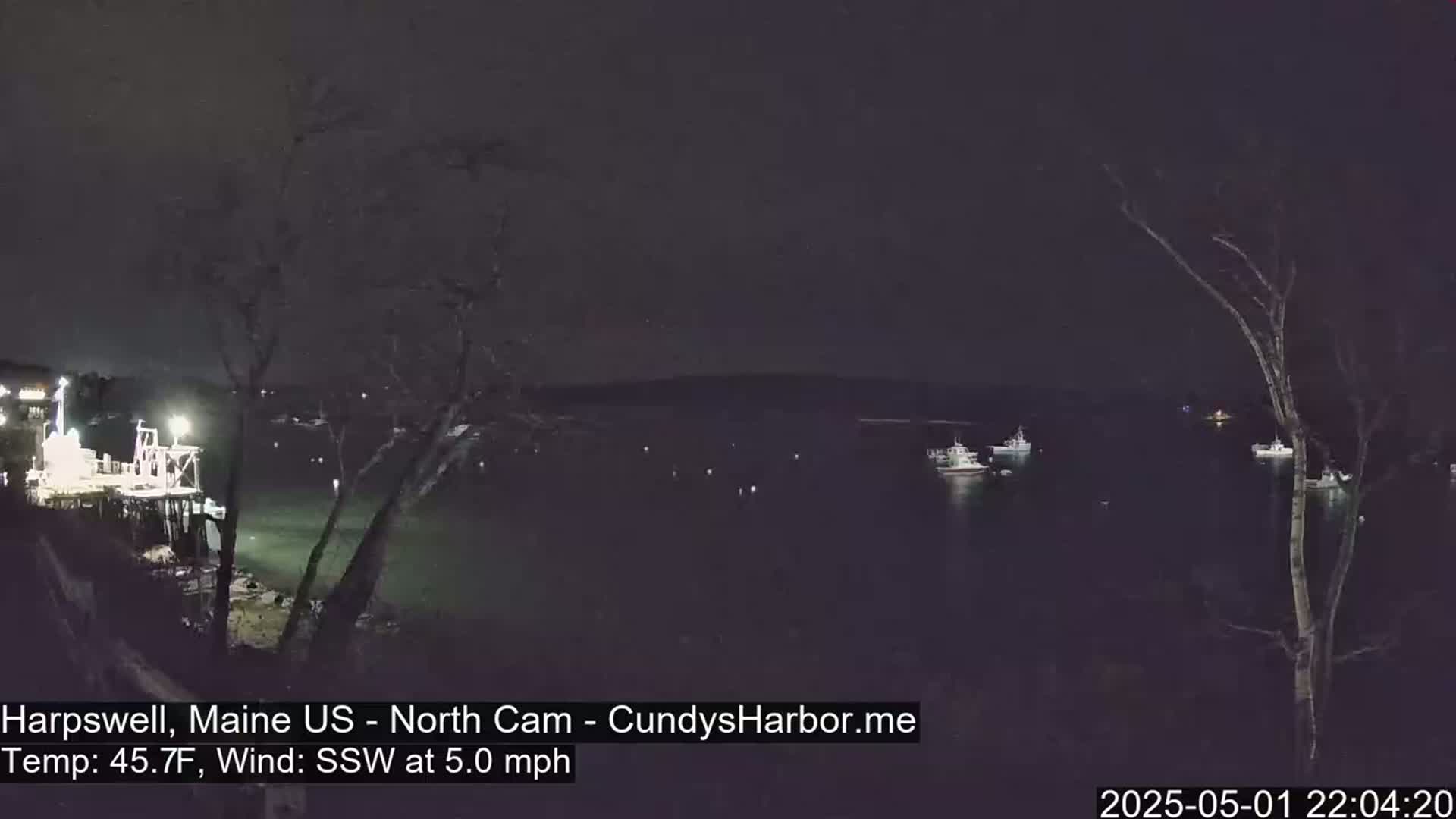 A nighttime view of several boats moored in a dark body of water, with a pier and trees visible in the foreground under a clear sky.