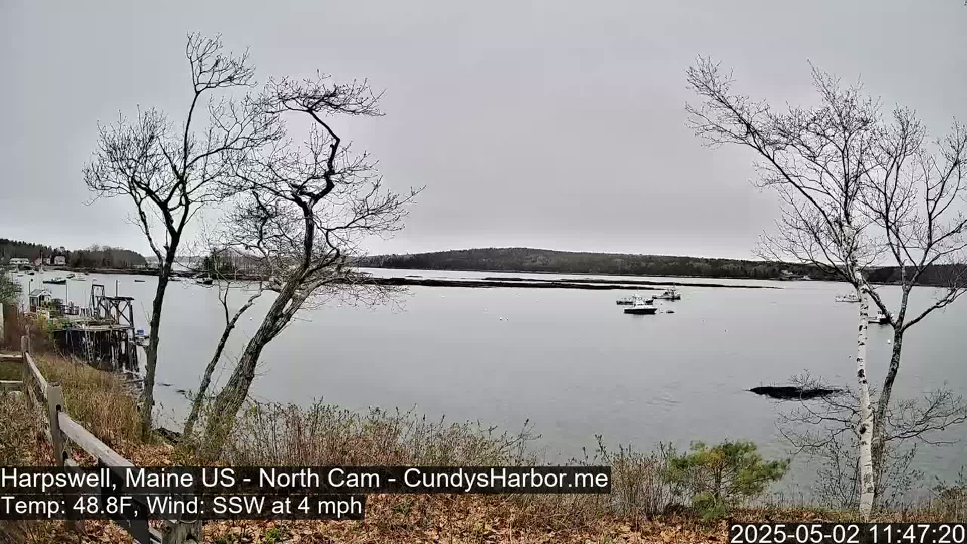 A calm, overcast day reveals a harbor view with several boats, bare trees, and a distant shoreline.