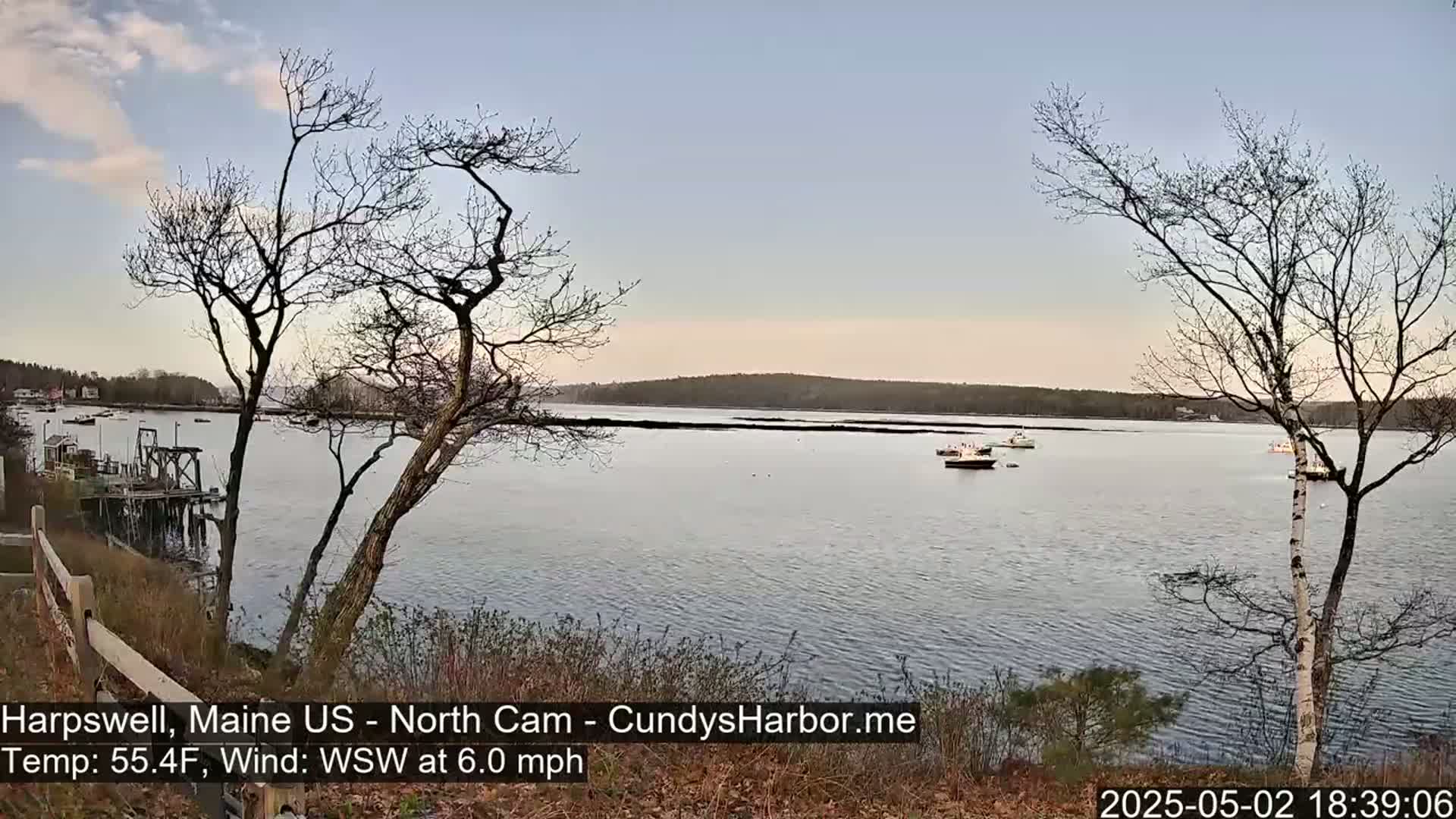 A calm body of water with several boats is seen from a high vantage point on a partly cloudy evening, with bare trees in the foreground.