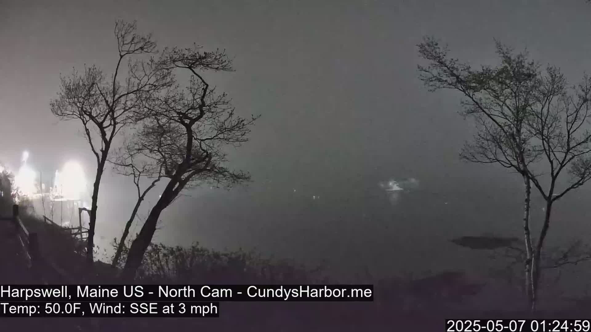 A foggy nighttime scene shows bare trees silhouetted against a body of water with faint lights in the distance.