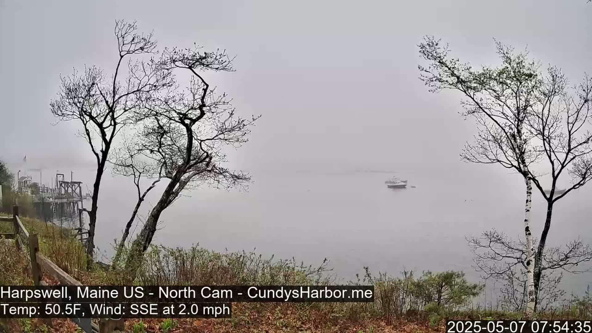 A foggy, calm waterfront scene shows bare trees overlooking a body of water with a few distant boats.