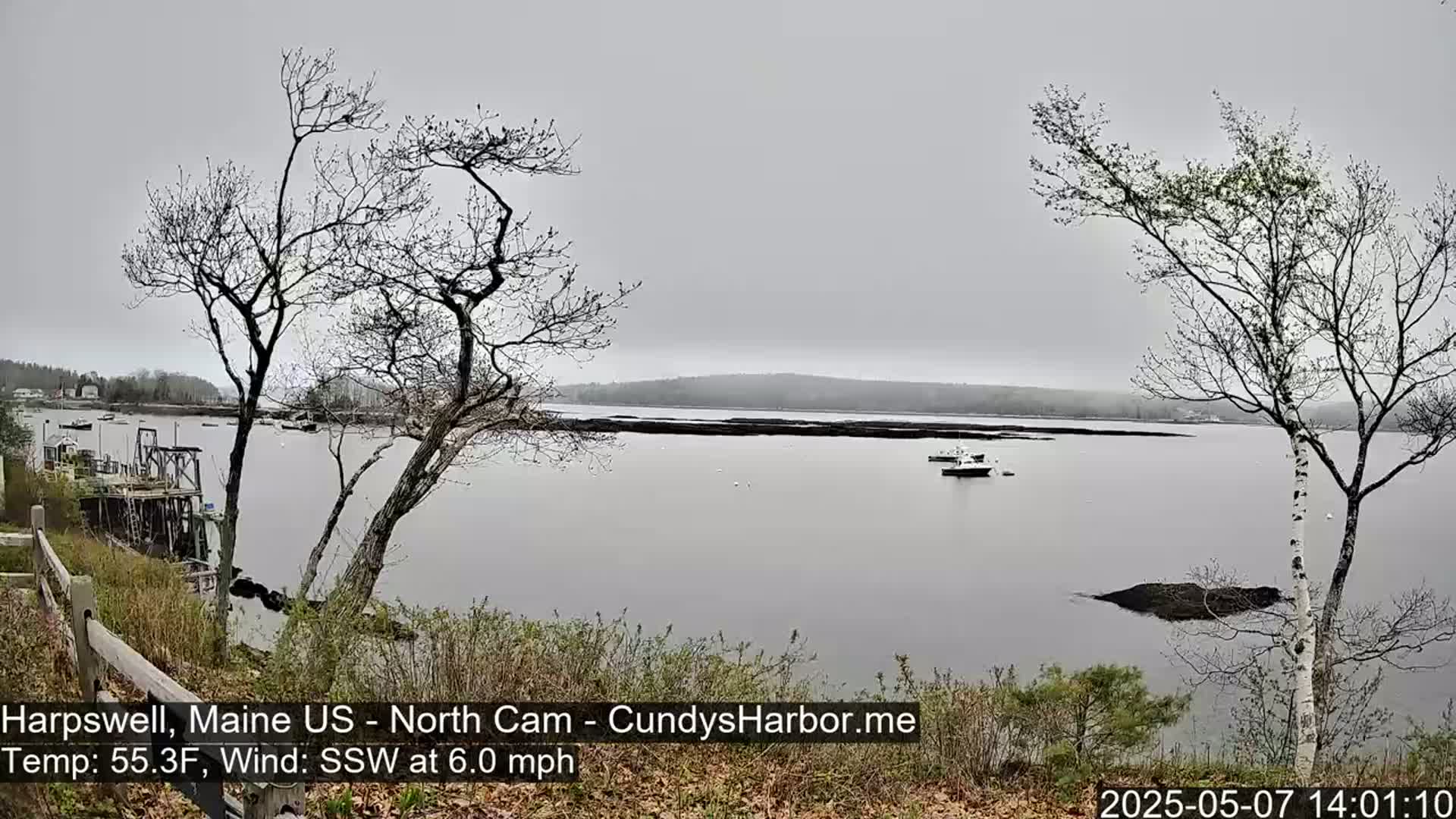 A calm, overcast day reveals a tranquil body of water with several small boats, viewed from a shoreline dotted with bare trees and budding shrubs.