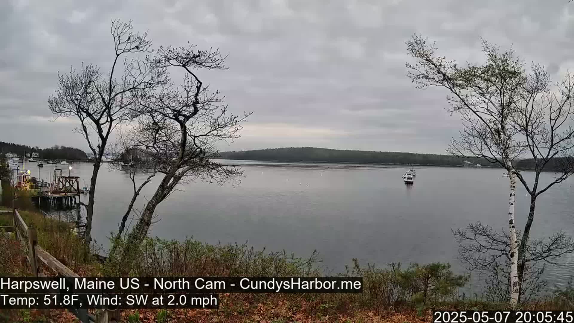 A calm, overcast day reveals a tranquil harbor scene with several boats, viewed from a shoreline dotted with bare trees.