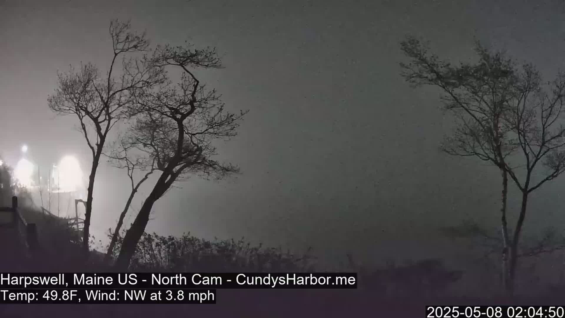 Two bare trees stand silhouetted against a foggy, dark night sky.