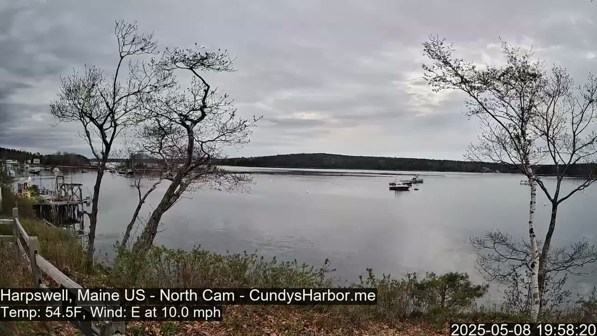 A calm, overcast day reveals a tranquil body of water dotted with a few boats, framed by bare trees and a distant shoreline.