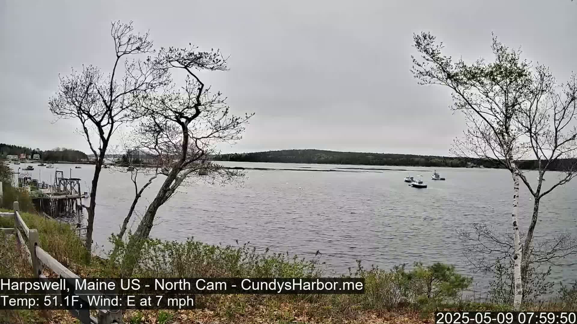 A calm, gray day shows a view of a body of water with several small boats, a distant shoreline, and bare trees in the foreground.