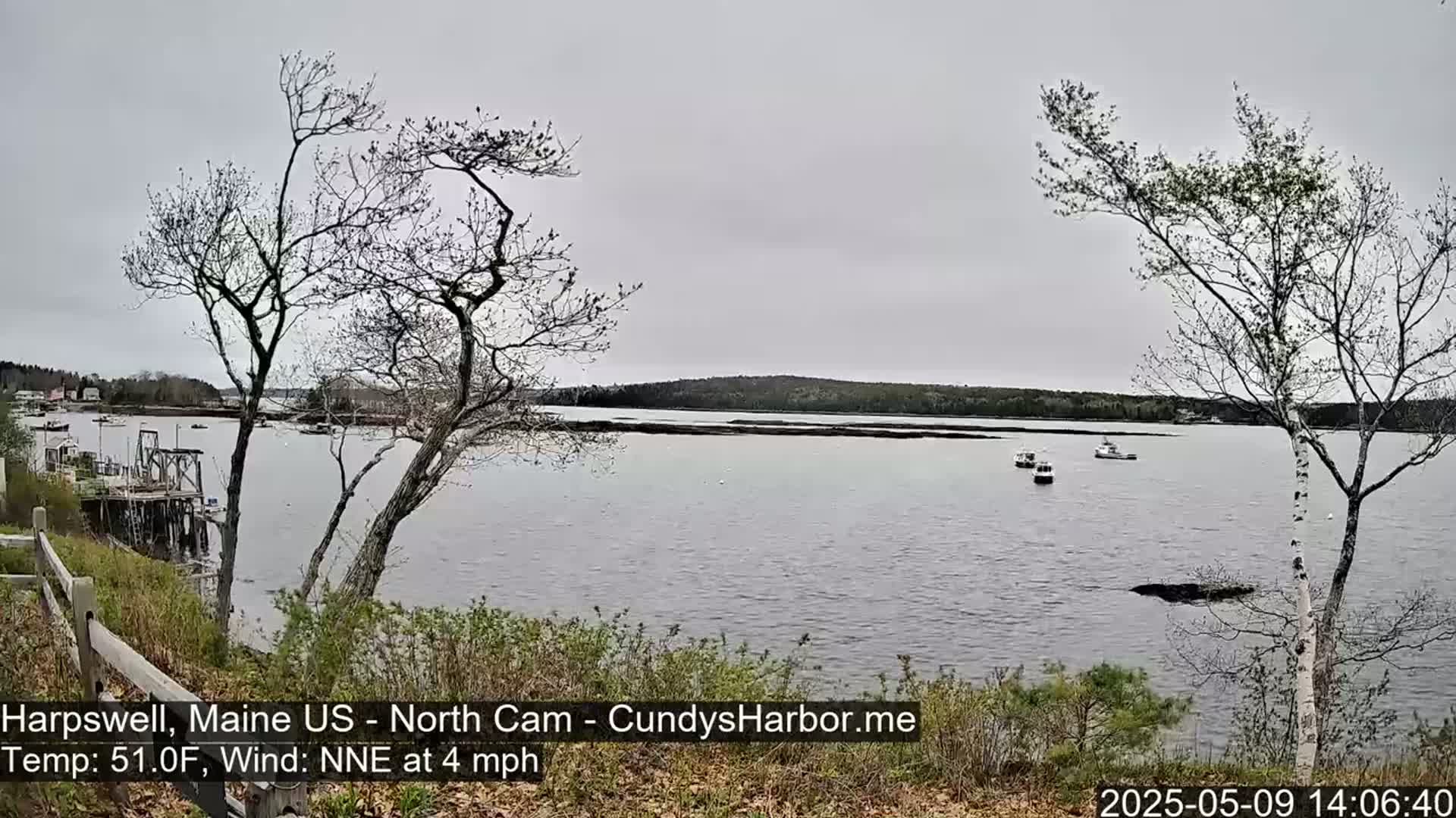 A calm, gray day shows a view of a body of water with several small boats, seen from a shoreline with leafless trees and budding spring vegetation.