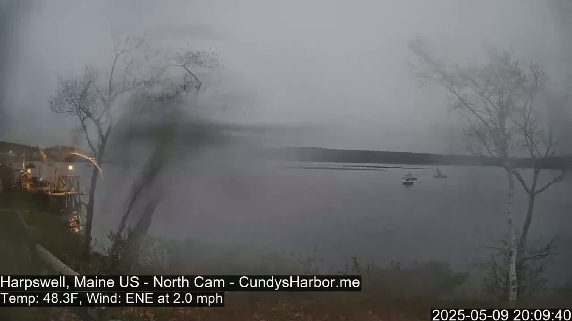 A foggy, gray scene shows a body of water with a few small boats, viewed from a shoreline with leafless trees.
