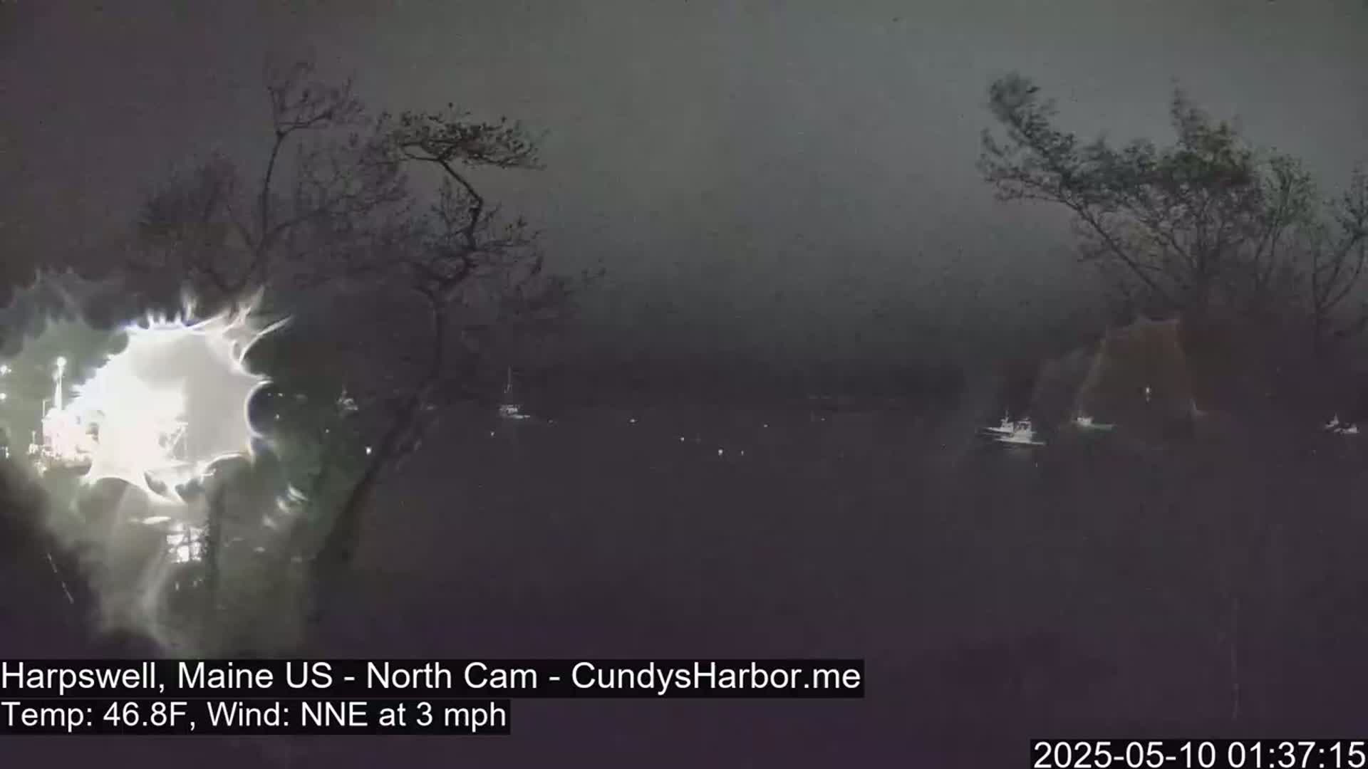 A nighttime view of a dark body of water with a few lights visible in the distance, partially obscured by fog or mist, and silhouetted trees in the foreground under a gray sky.