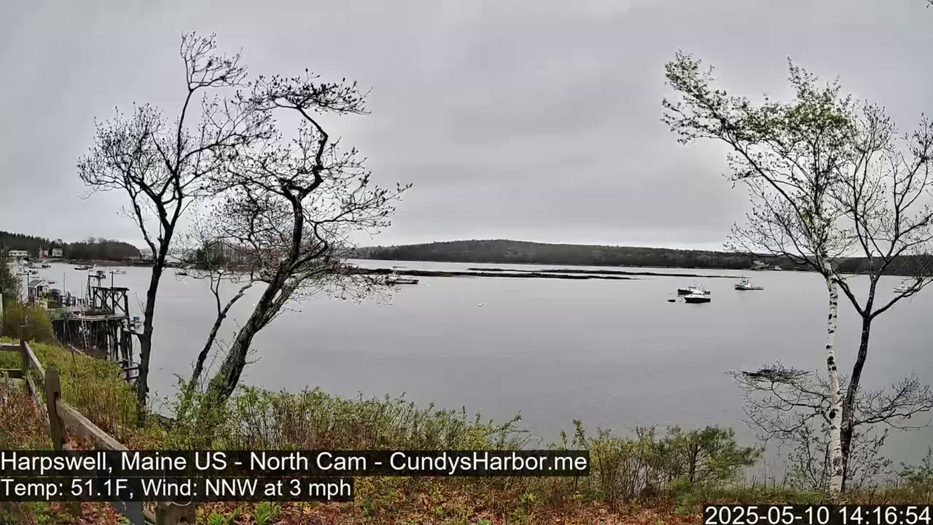 A calm, overcast day reveals a tranquil harbor scene with several boats, viewed from a slightly elevated vantage point amidst leafless and budding trees.