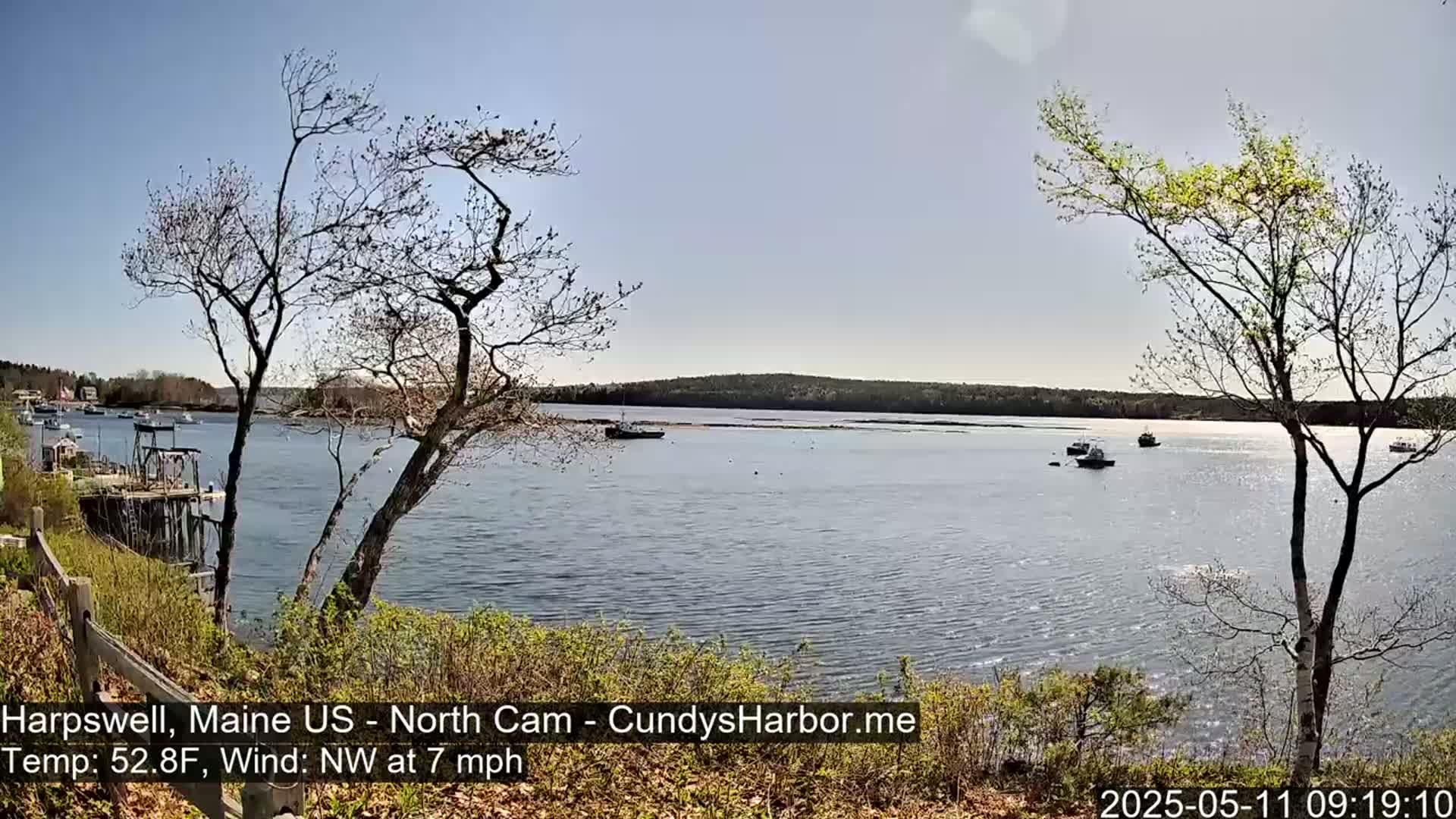 A calm body of water with several boats is seen from a shoreline with leafless and budding trees under a sunny sky.