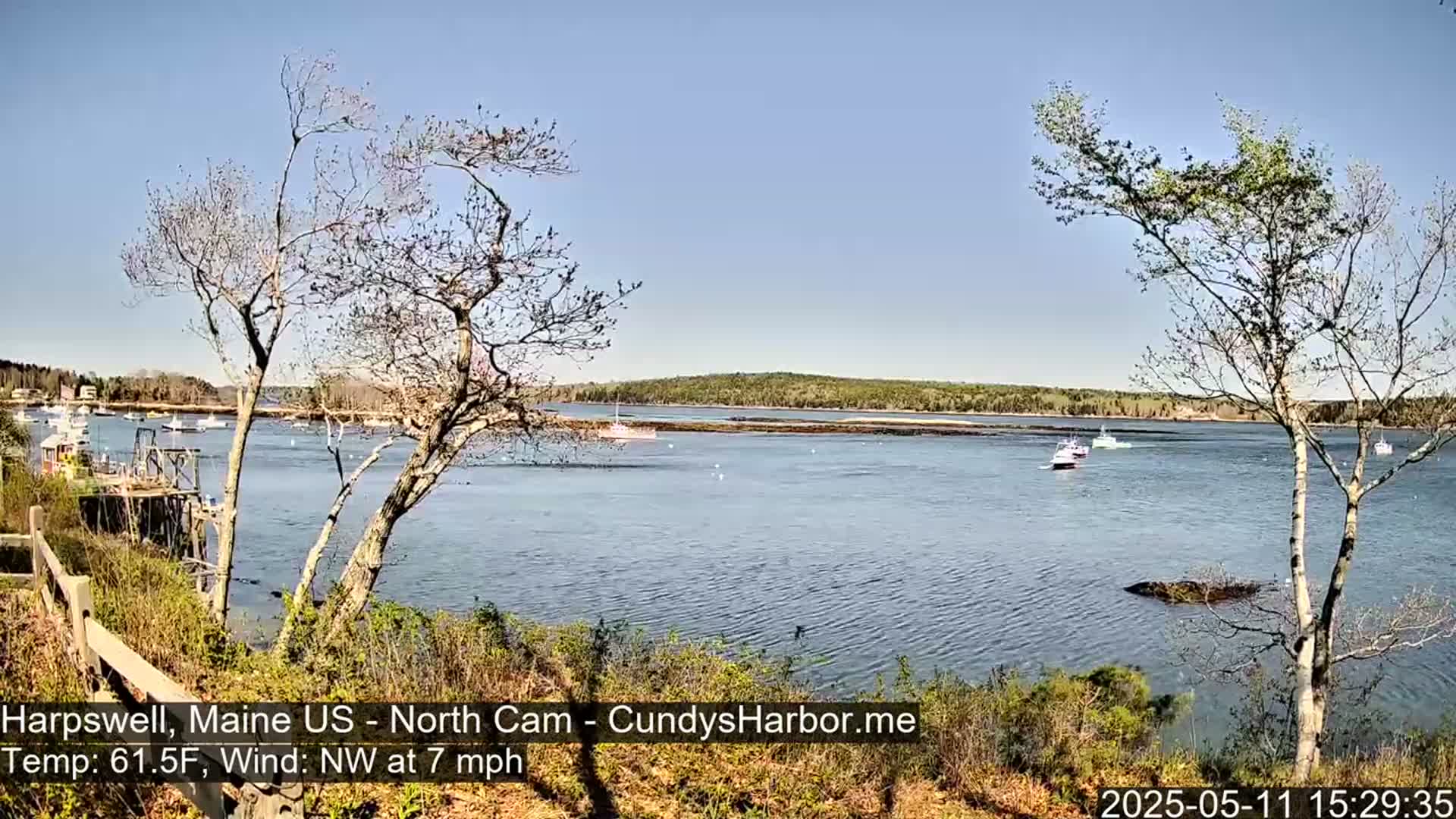 A calm body of water with several boats is viewed from a shoreline with leafless and budding trees under a clear blue sky.