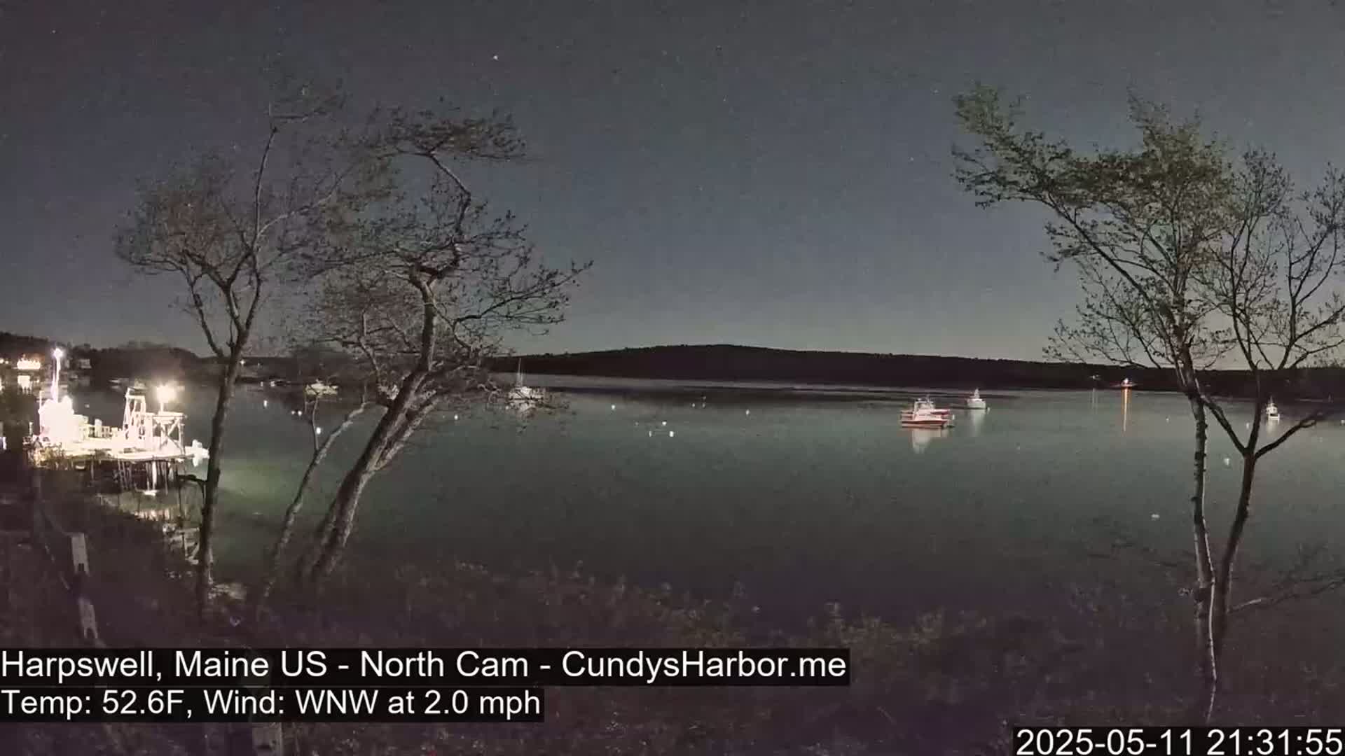 Under a dark night sky, several boats are moored in a calm harbor, partially lit by shore lights, with bare trees silhouetted against the water.