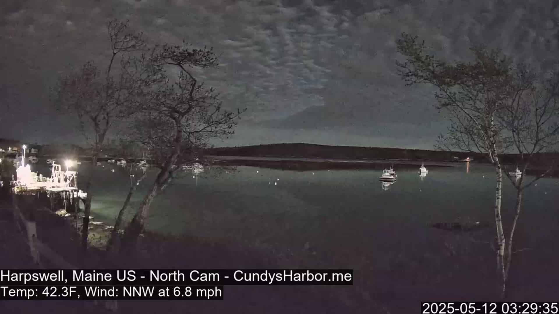 Under a cloudy night sky, a calm body of water shows several boats moored near a dock, with bare trees in the foreground.