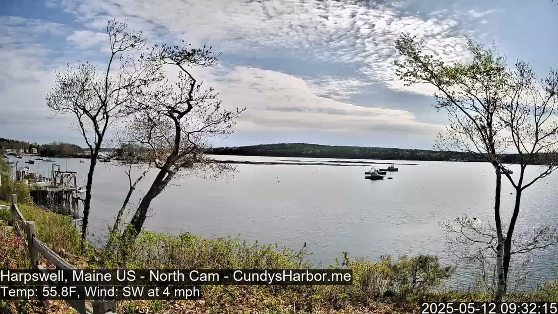 A calm body of water with several small boats is viewed from a shoreline under a partly cloudy sky, with bare trees in the foreground.
