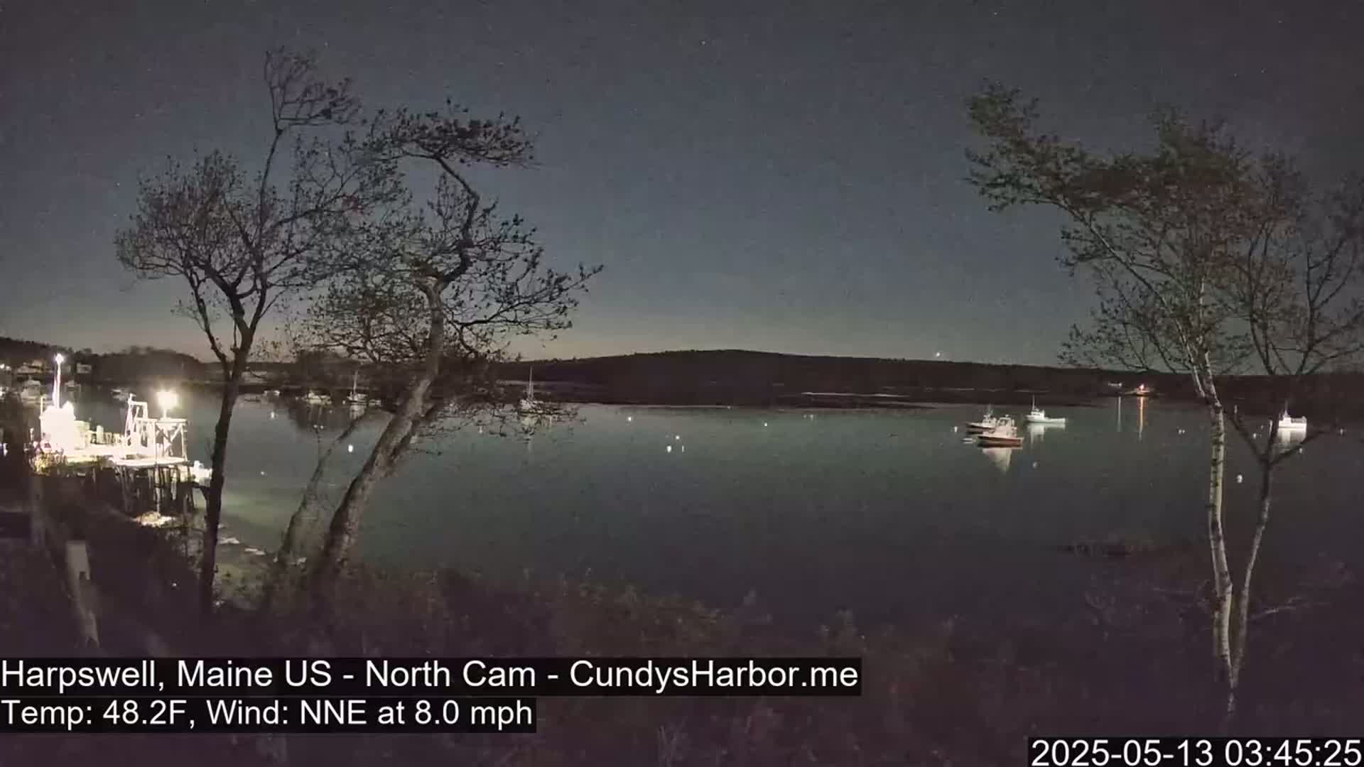 A nighttime view of a calm body of water with several boats moored, under a dark sky with a few stars visible, and bare trees in the foreground.