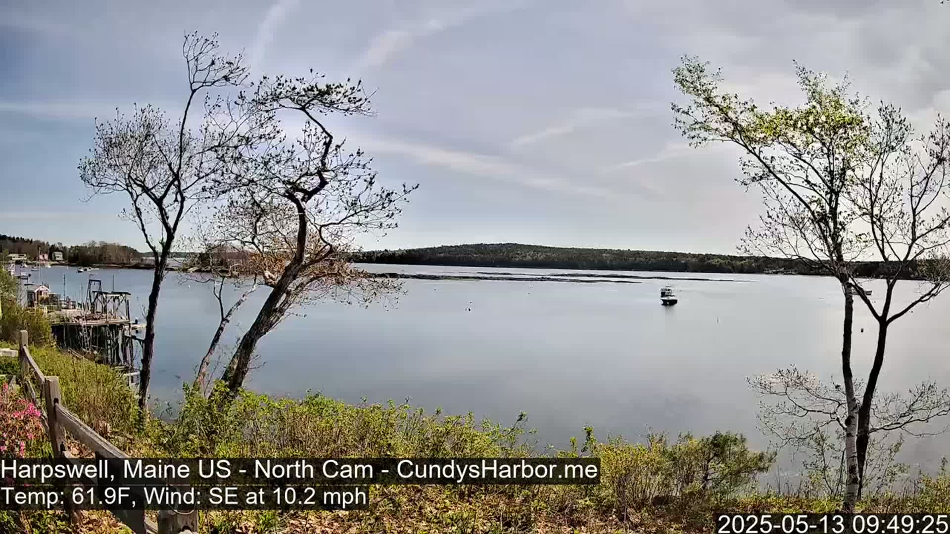 A calm body of water is seen from a vantage point on a slightly overcast day, with bare trees in the foreground and a small boat in the distance.