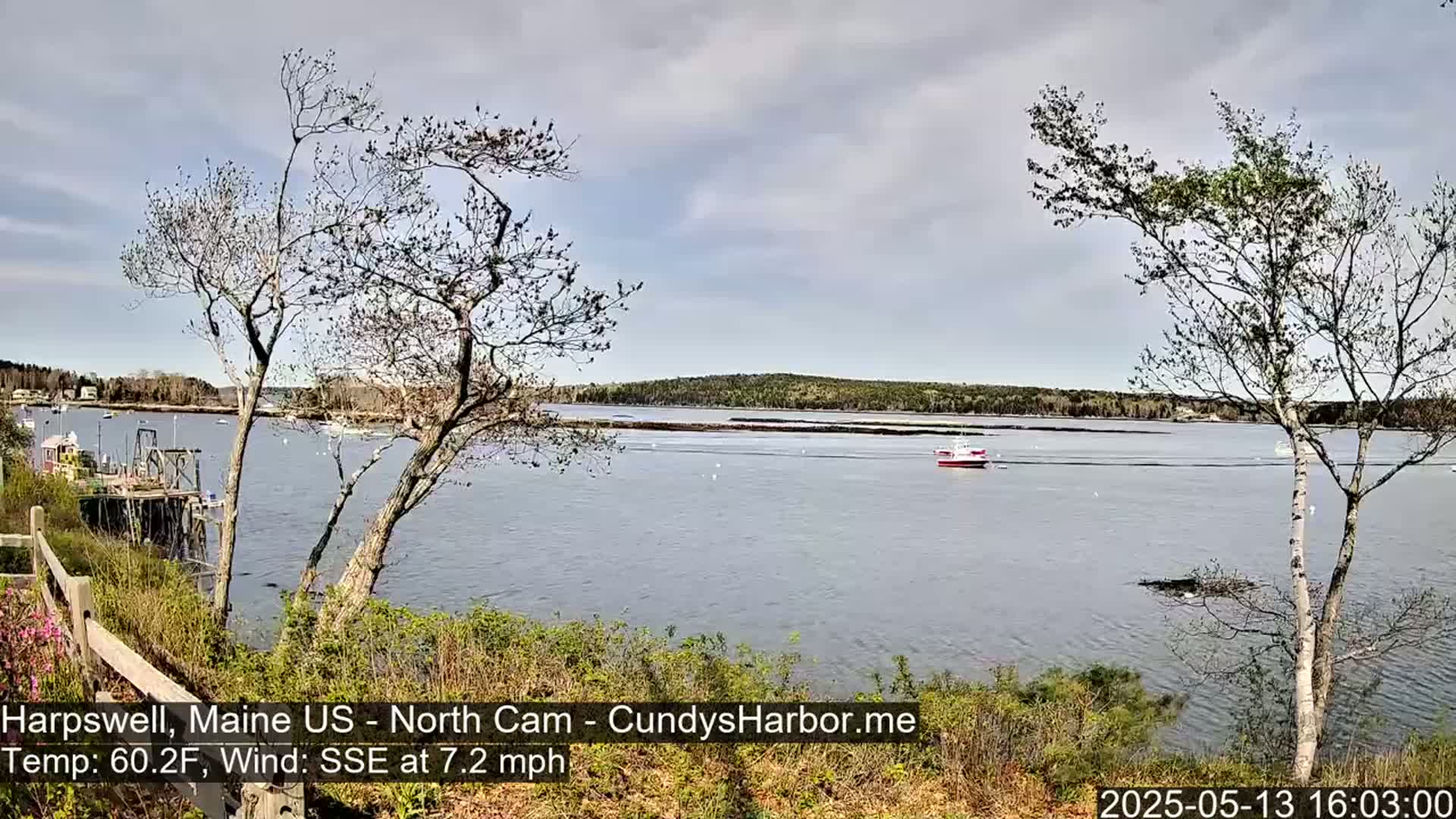 A calm body of water, under a partly cloudy sky, is viewed from a shoreline with bare trees and budding greenery, and a small red boat is visible in the distance.