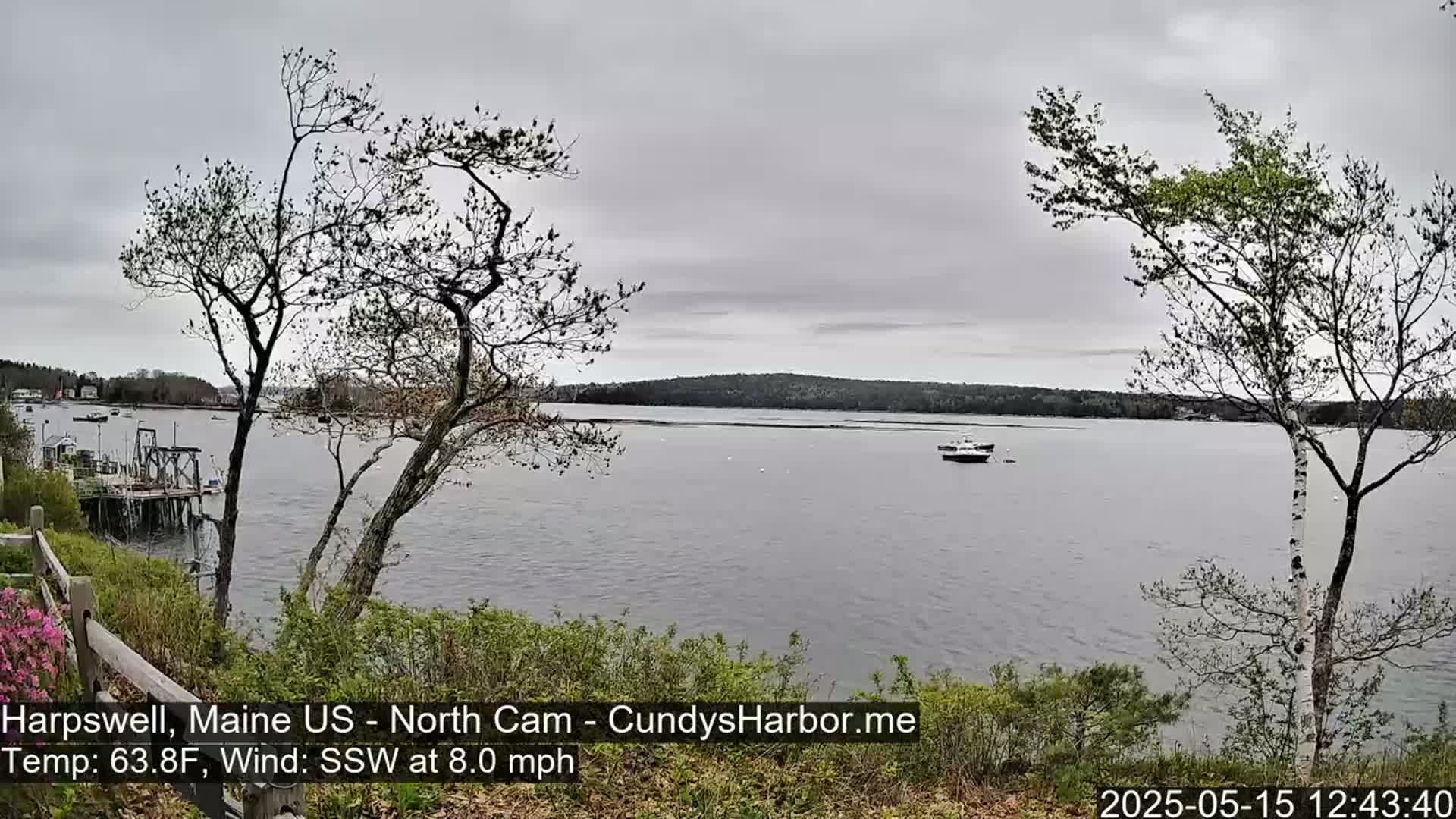 A calm, overcast day shows a view of a body of water with a few boats, seen from a shoreline with leafless trees and budding vegetation.