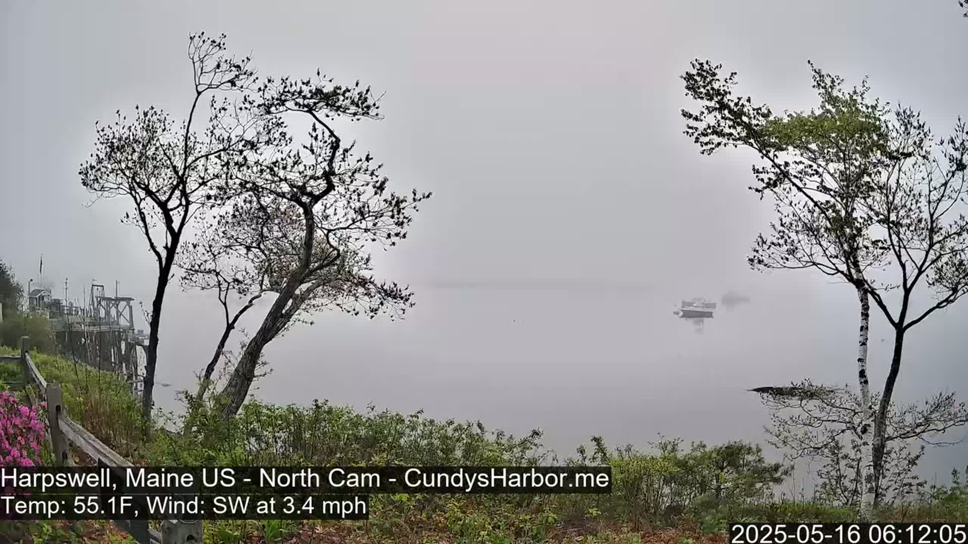 A foggy waterfront scene shows several boats on calm water, viewed from a shoreline with bare trees and shrubs.
